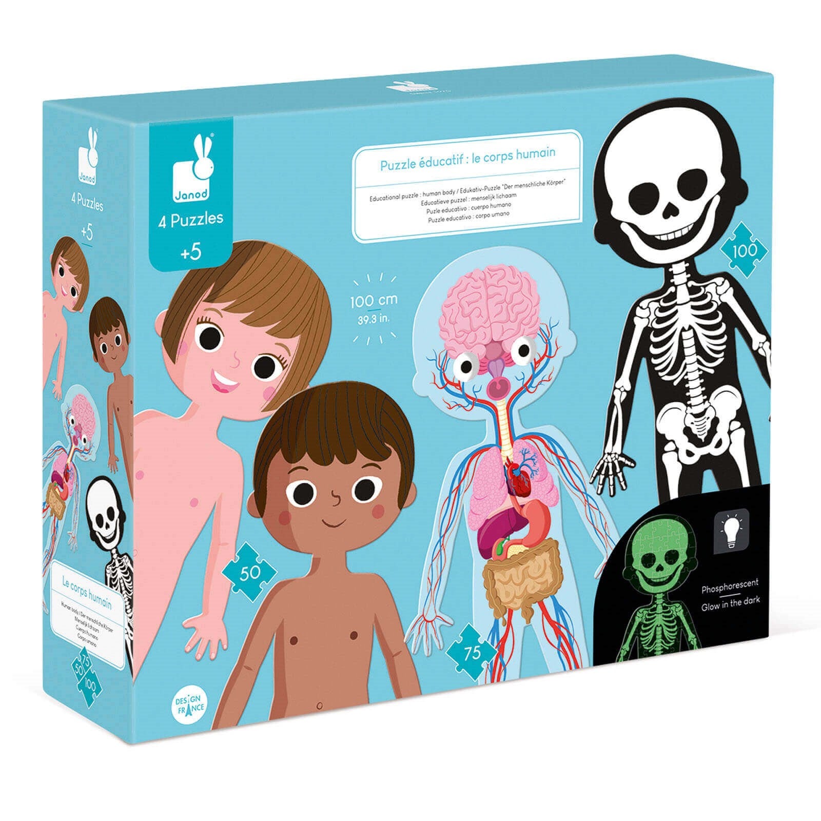 Educational Puzzle - Human Body