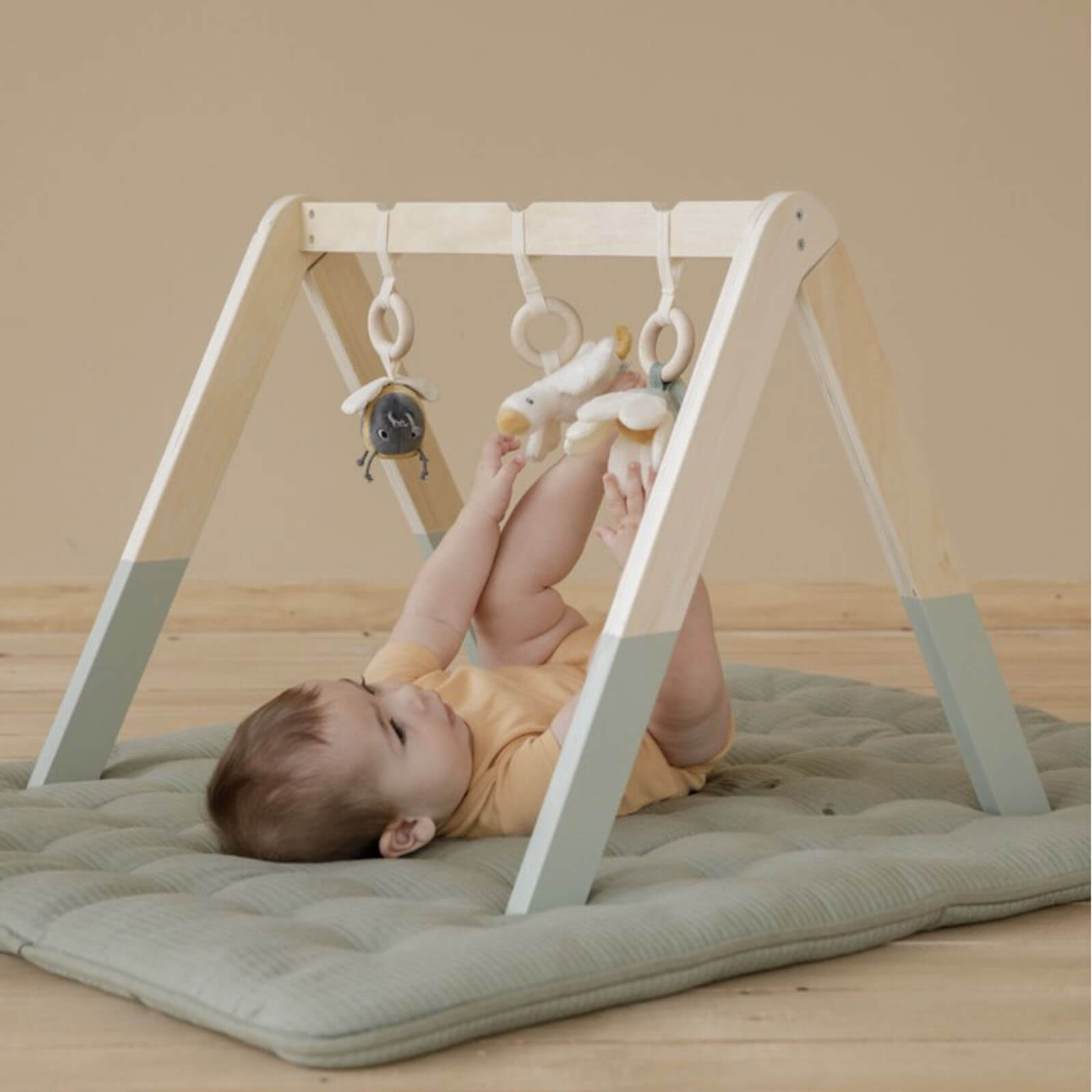 Baby Gym - Little Goose