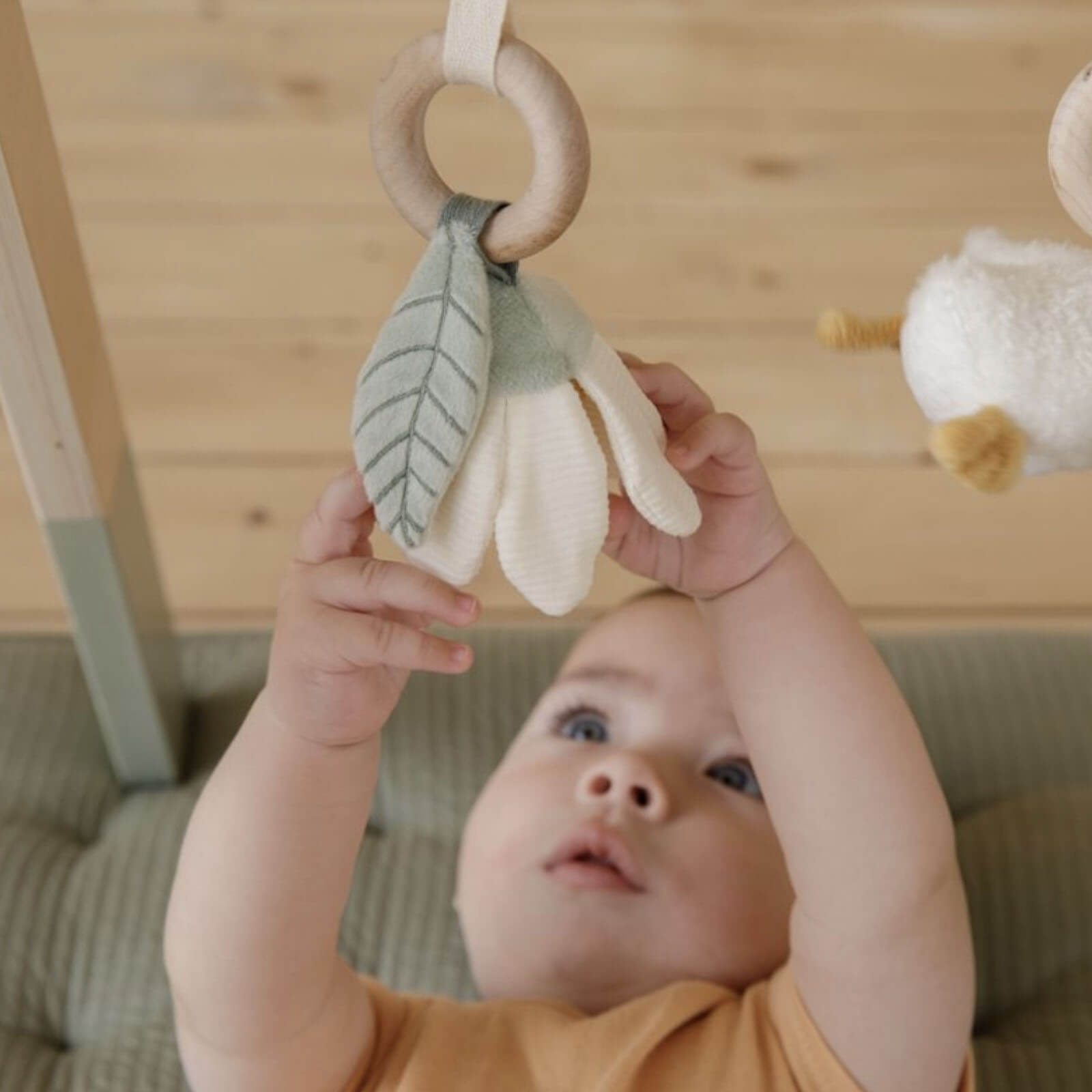 Baby Gym - Little Goose