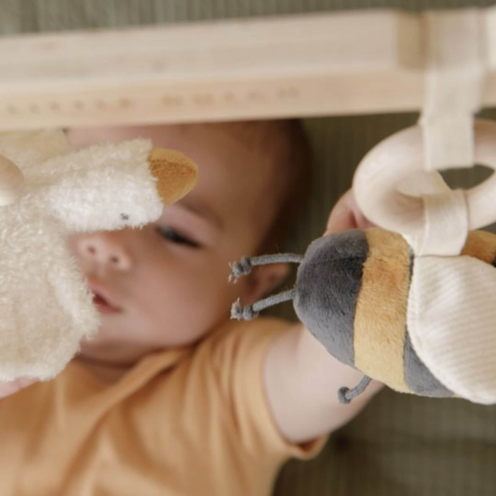 Baby Gym - Little Goose