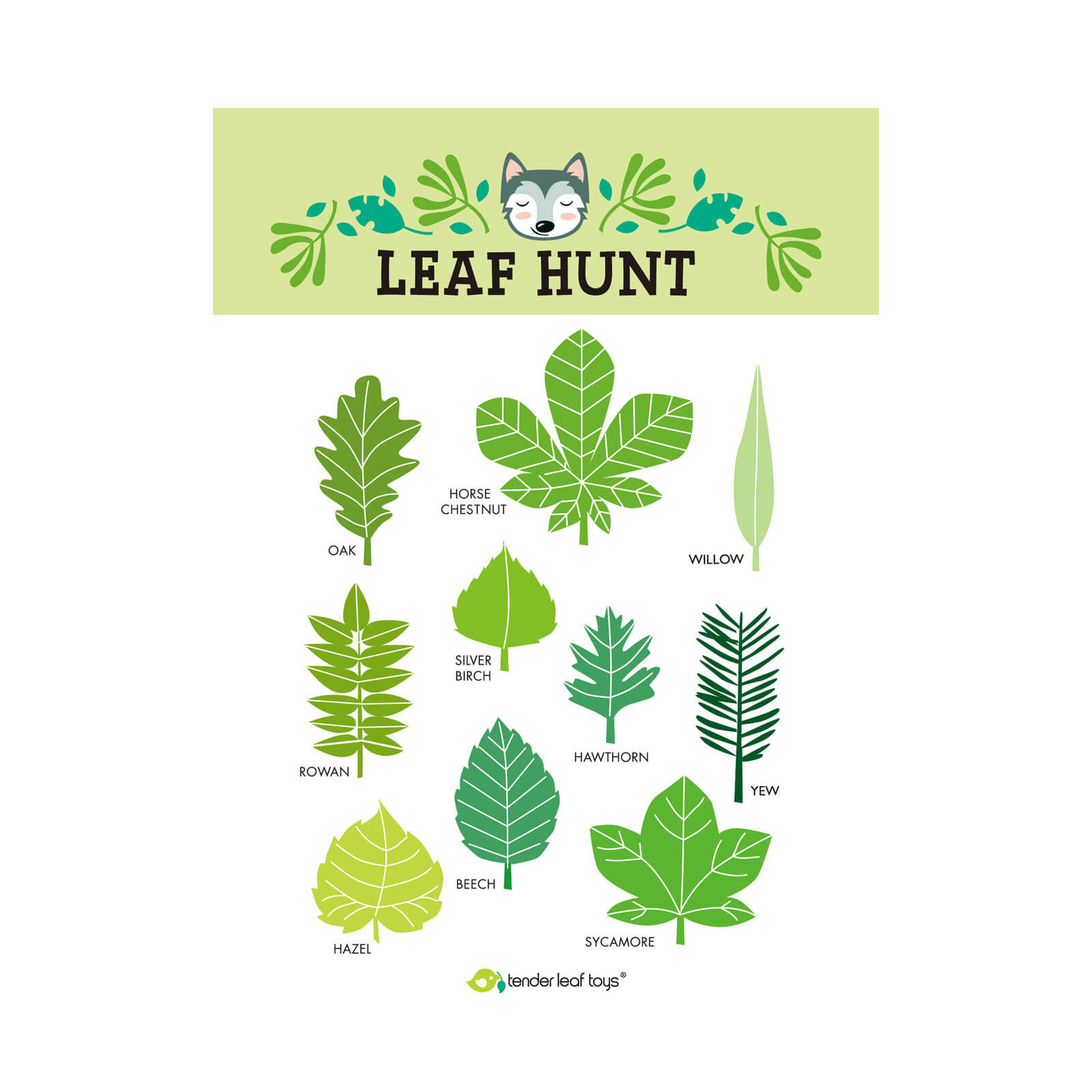 Forest Trail Kit Set