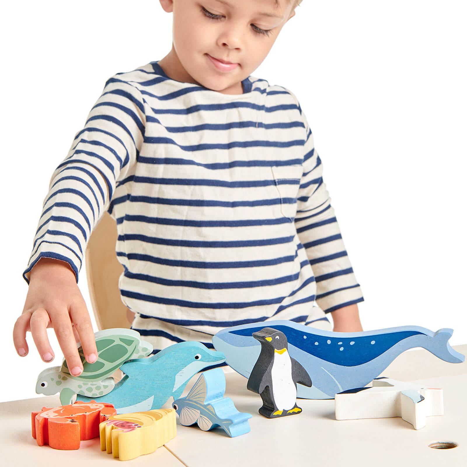 Coastal Creatures Set Plus Display Shelf