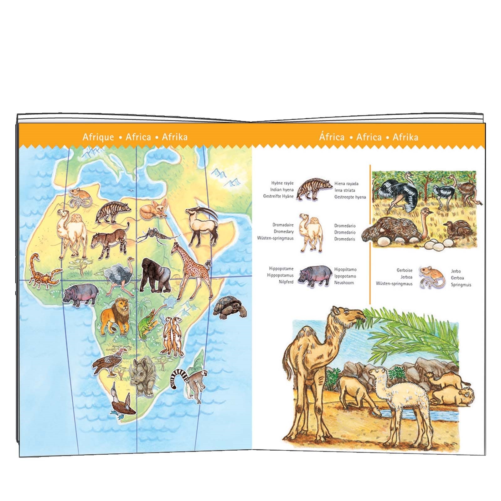 100 Piece Puzzle and Booklet - Worlds Animals