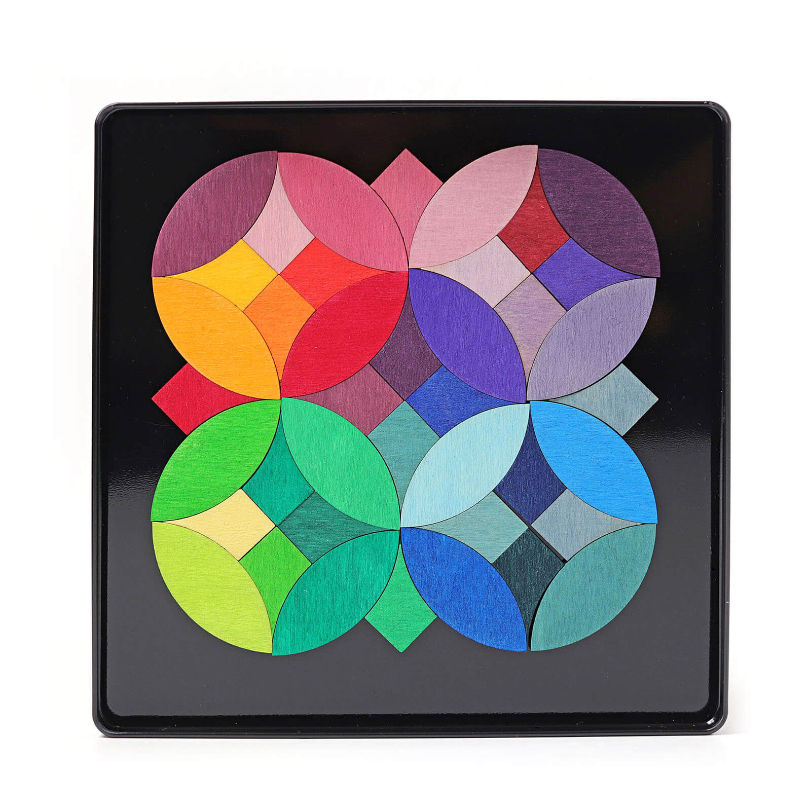 Magnet Puzzle - Circles