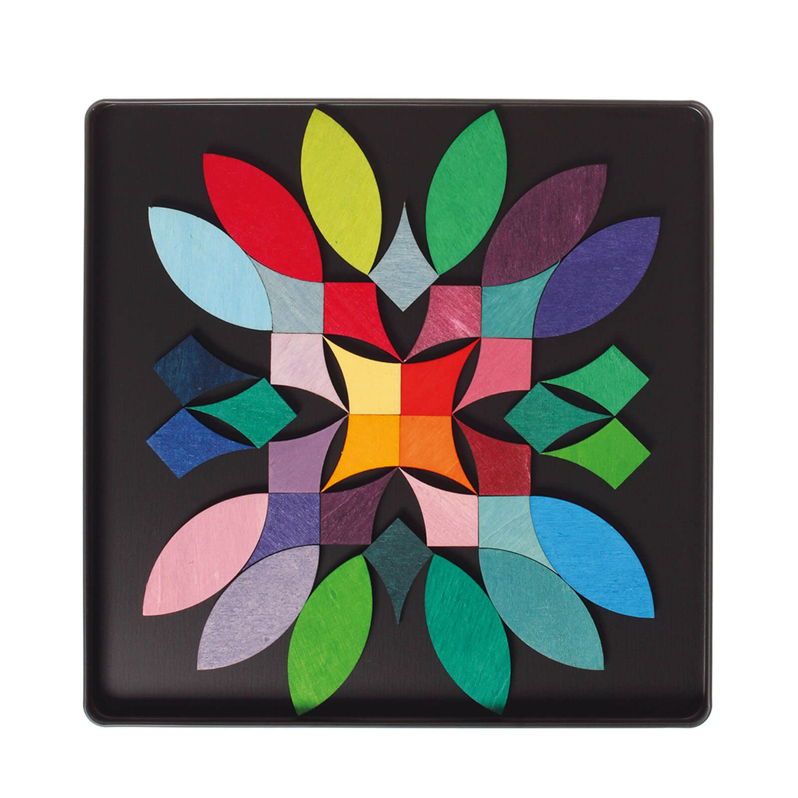 Magnet Puzzle - Circles