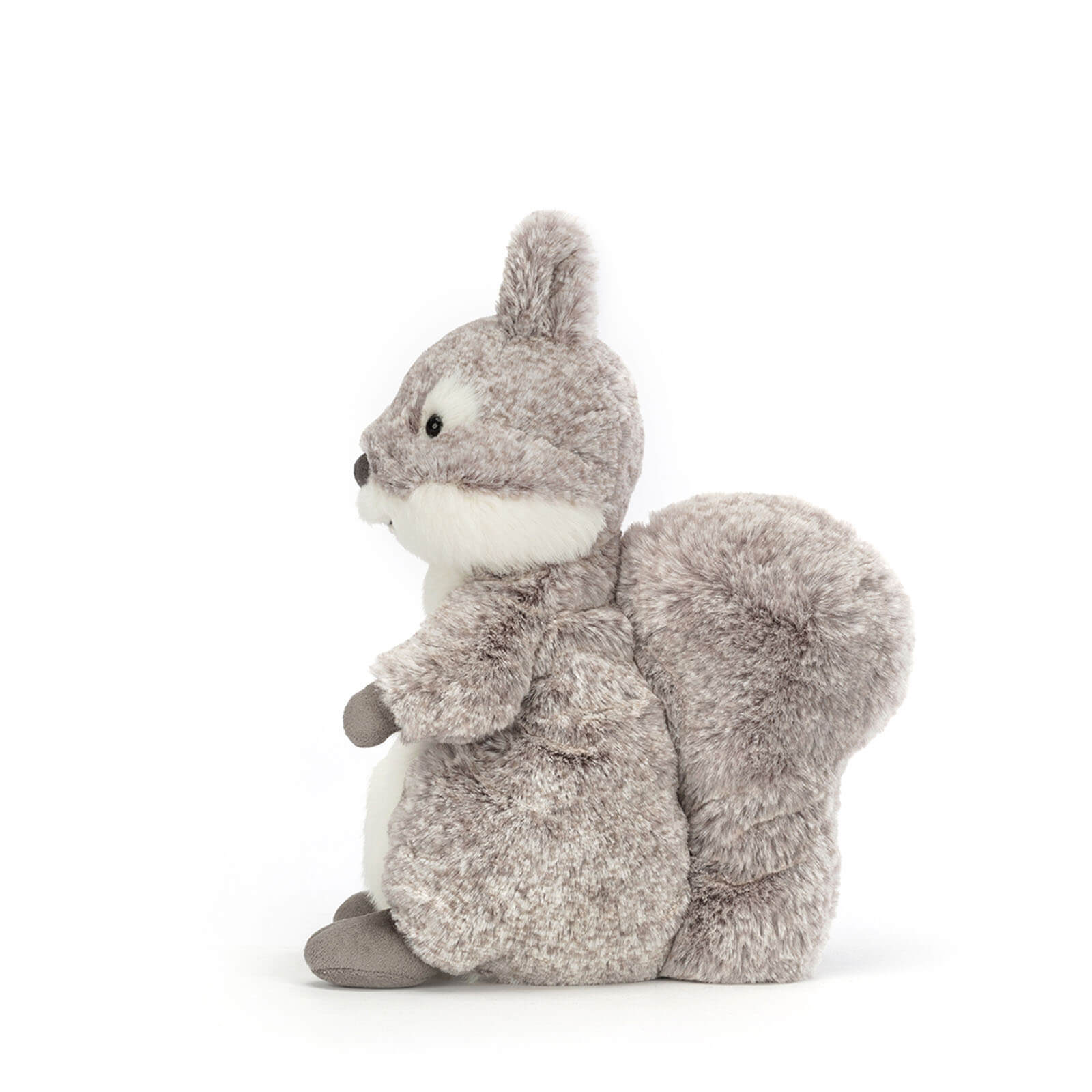 Ambrosie Squirrel