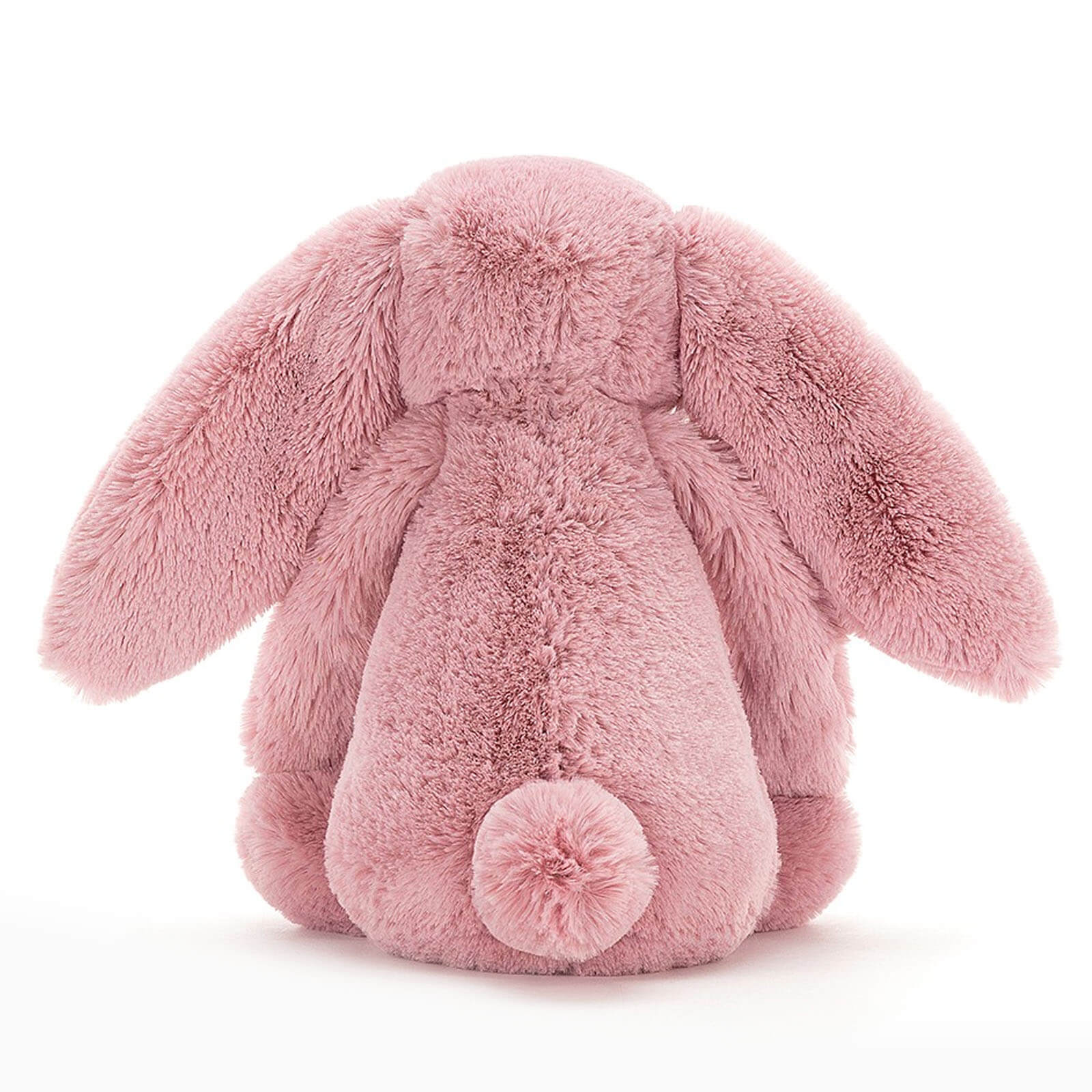 Large Bashful Bunny Tulip