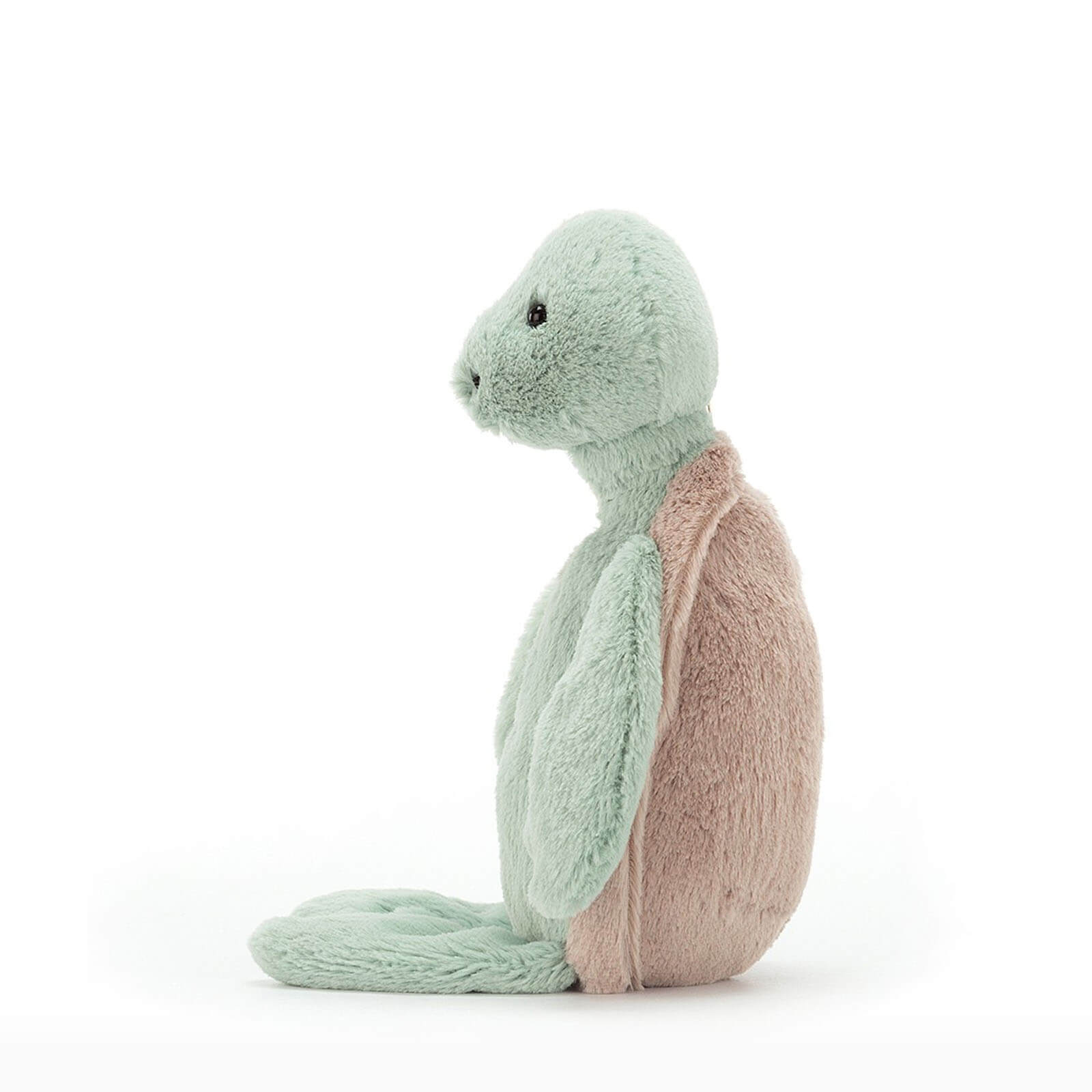 Original Bashful Turtle