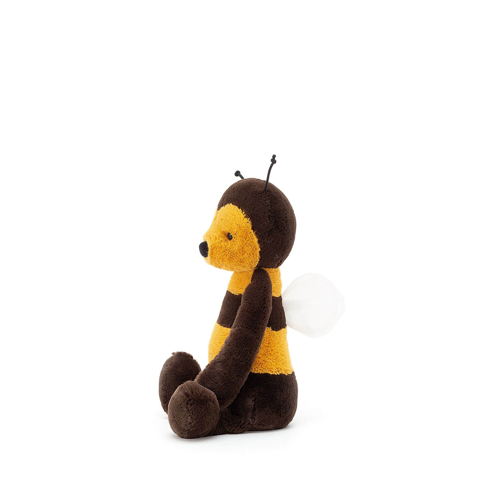 Small Bashful Bee