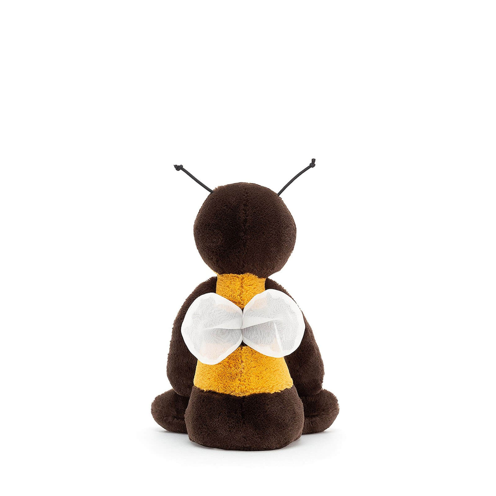 Small Bashful Bee
