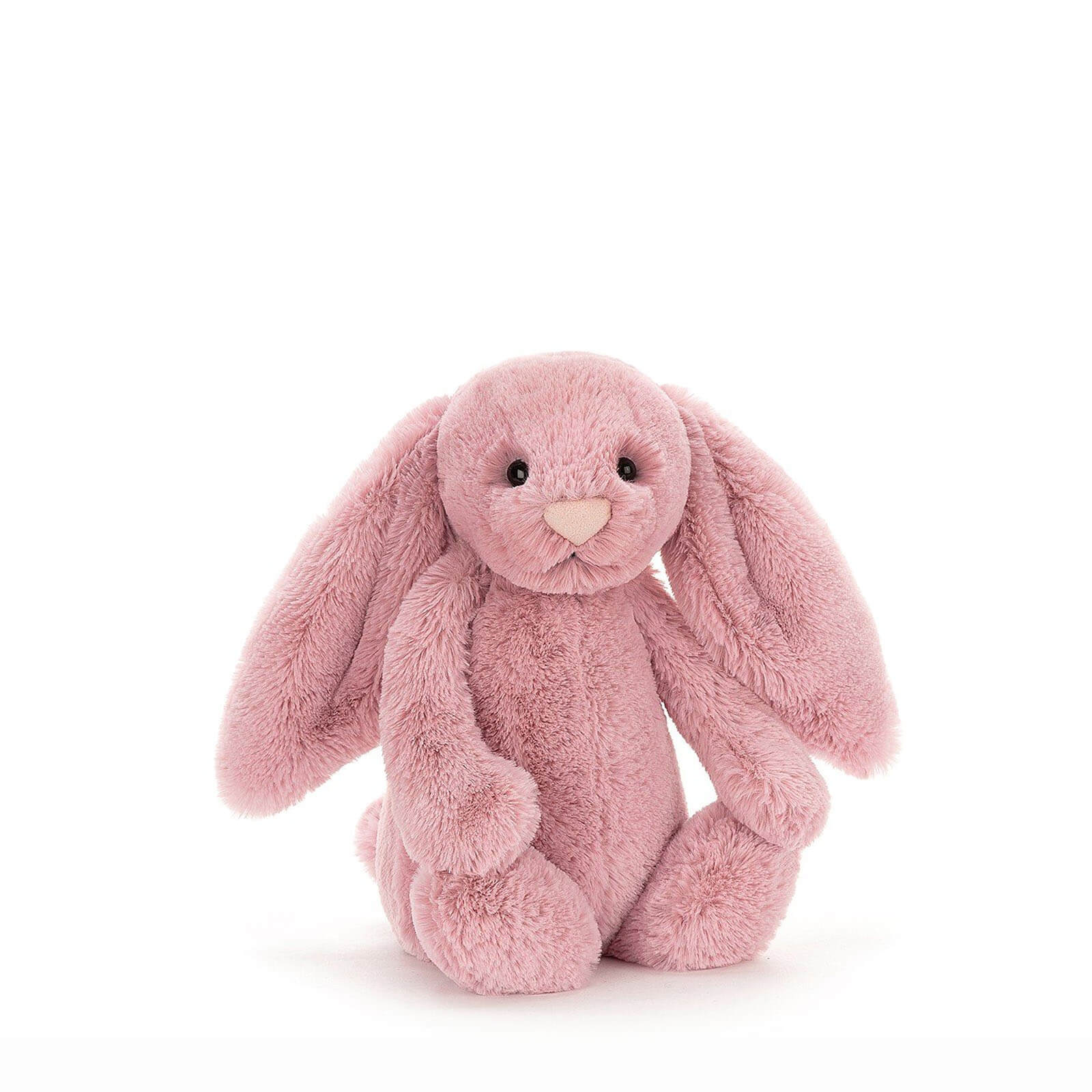 Small Bashful Bunny Tulip