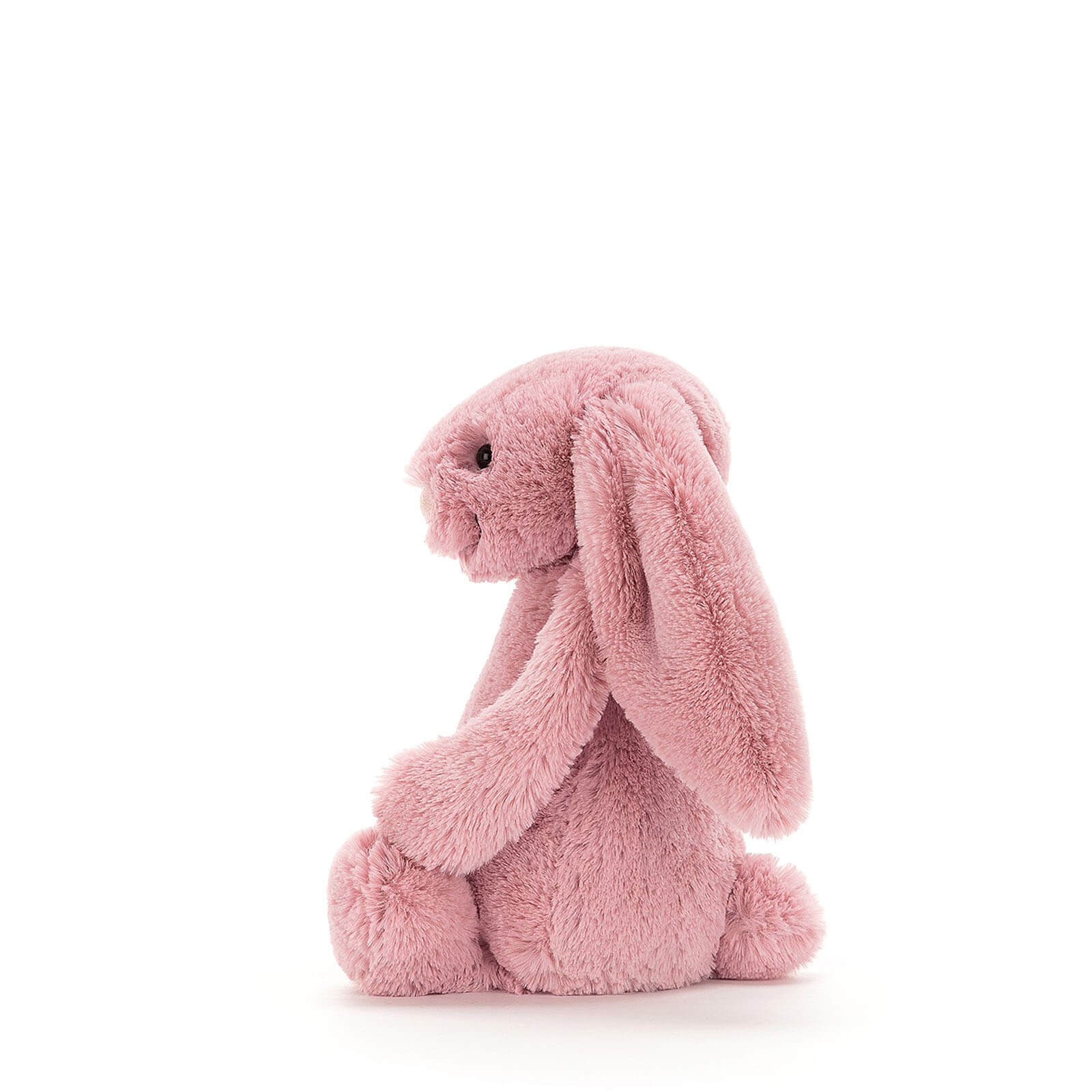 Small Bashful Bunny Tulip
