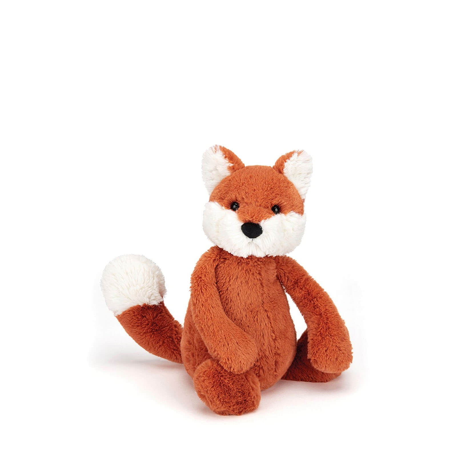 Small Bashful Fox Cub