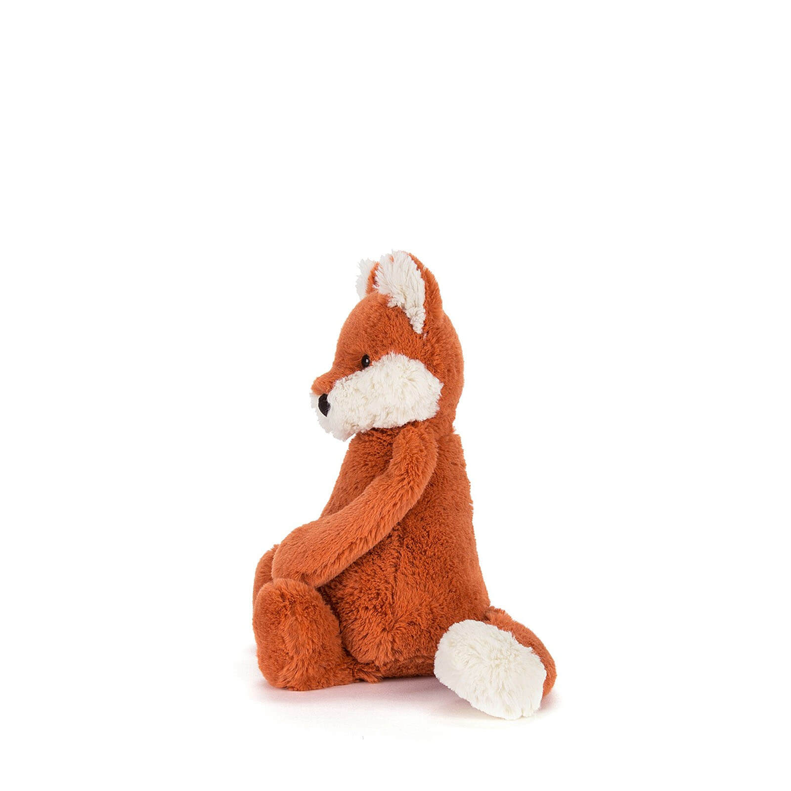 Small Bashful Fox Cub