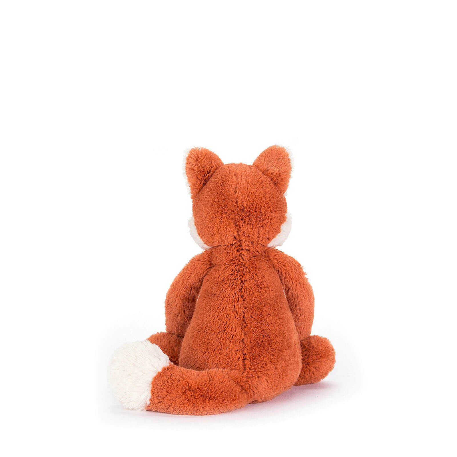 Small Bashful Fox Cub