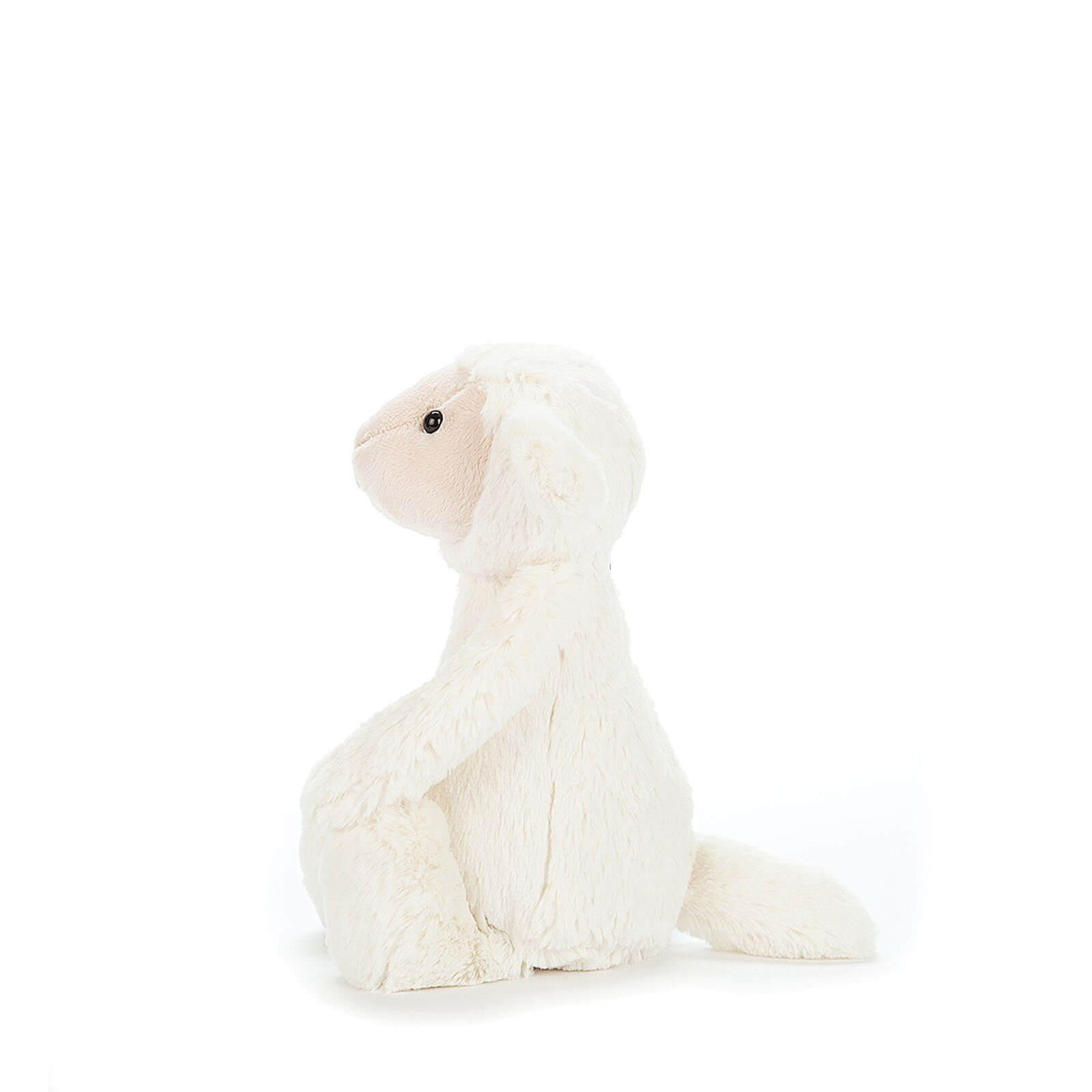 Small Bashful Lamb