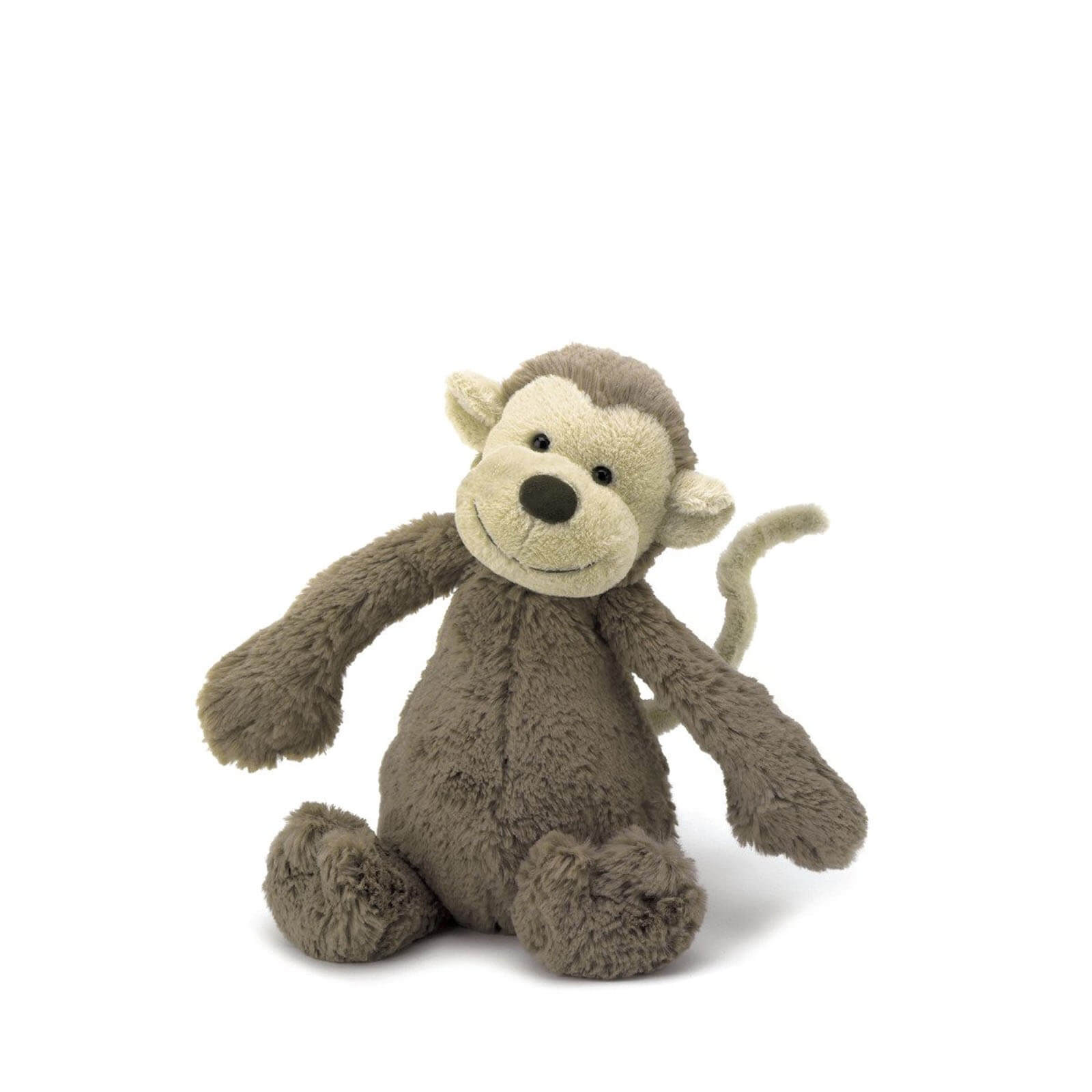 Small Bashful Monkey