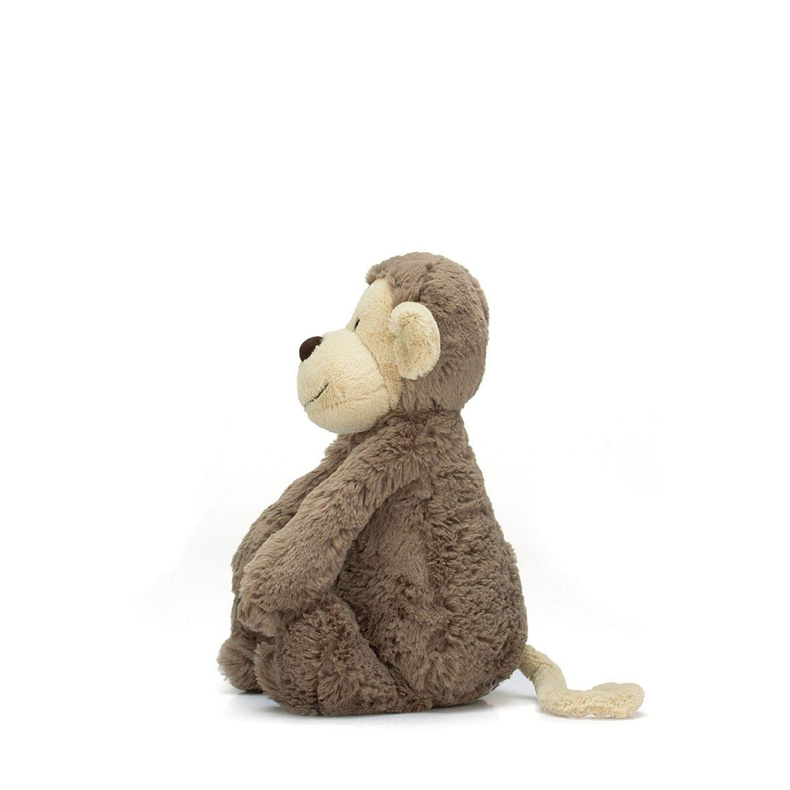 Small Bashful Monkey