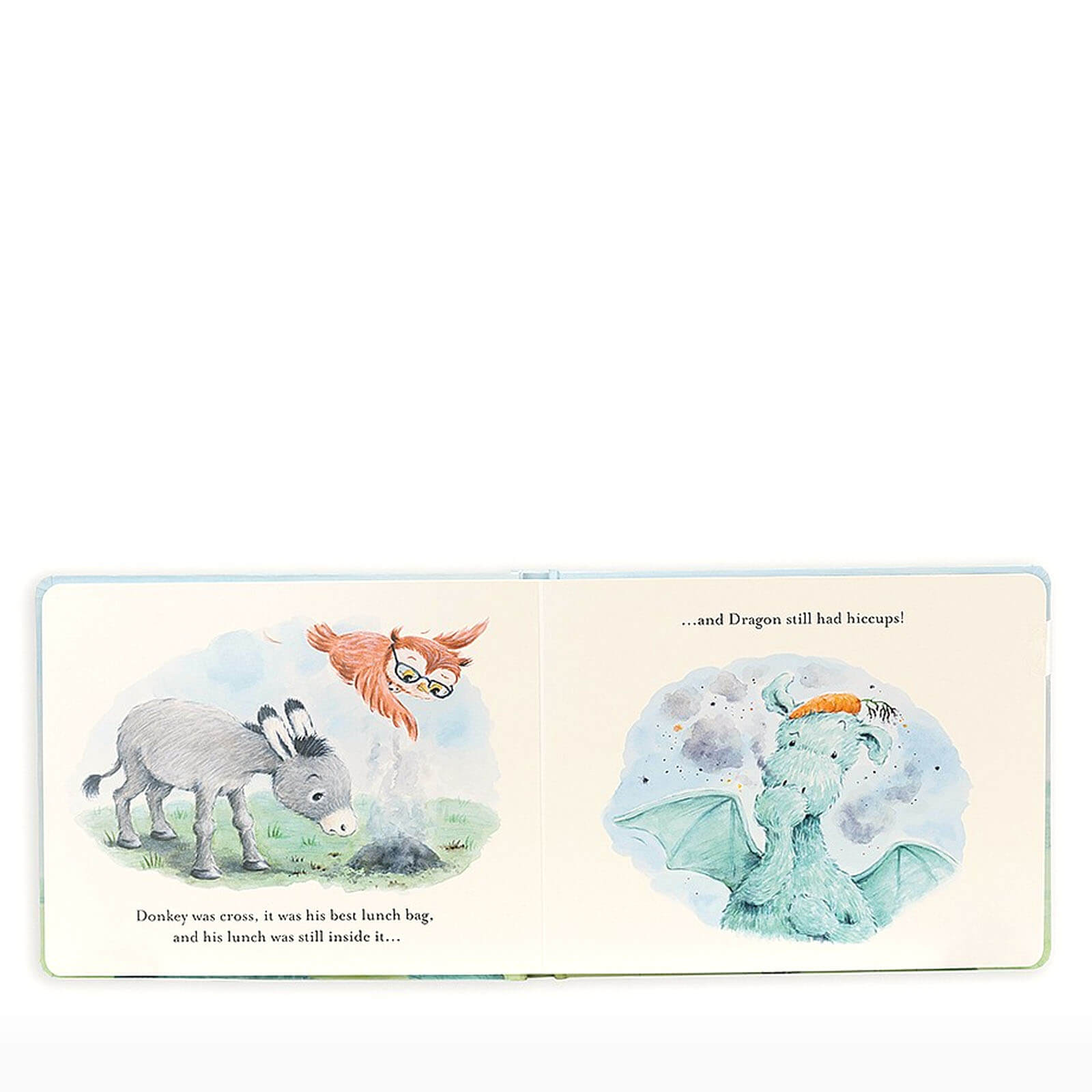 The Hiccuppy Dragon - Book