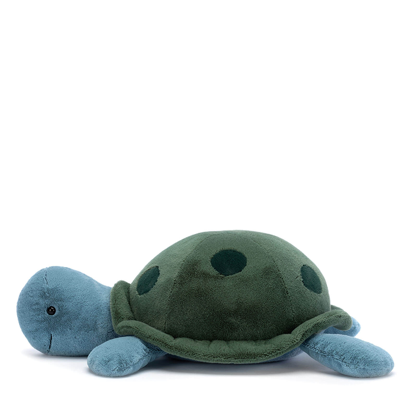 Big Spottie Turtle