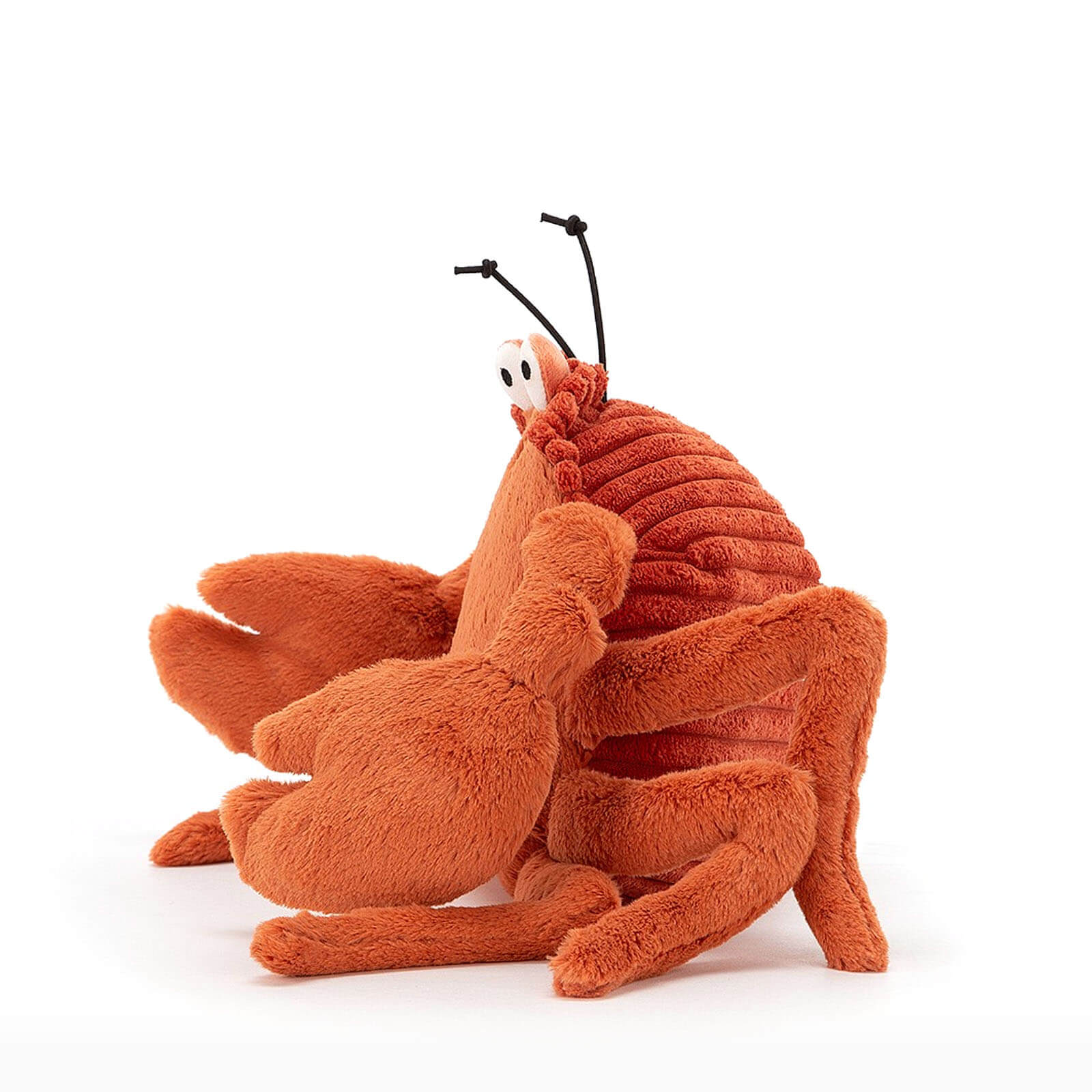 Crispin Crab