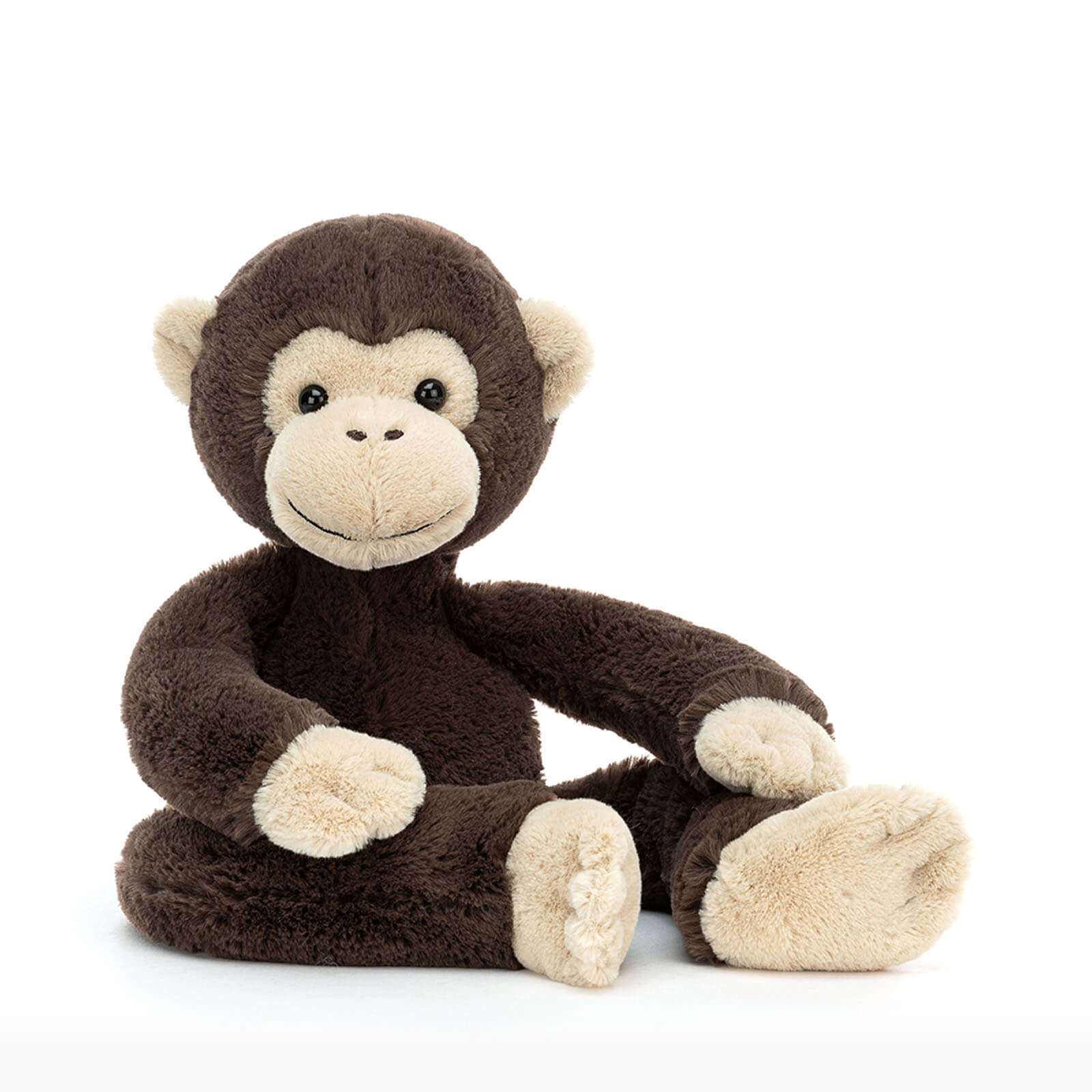 Pandy Chimpanzee