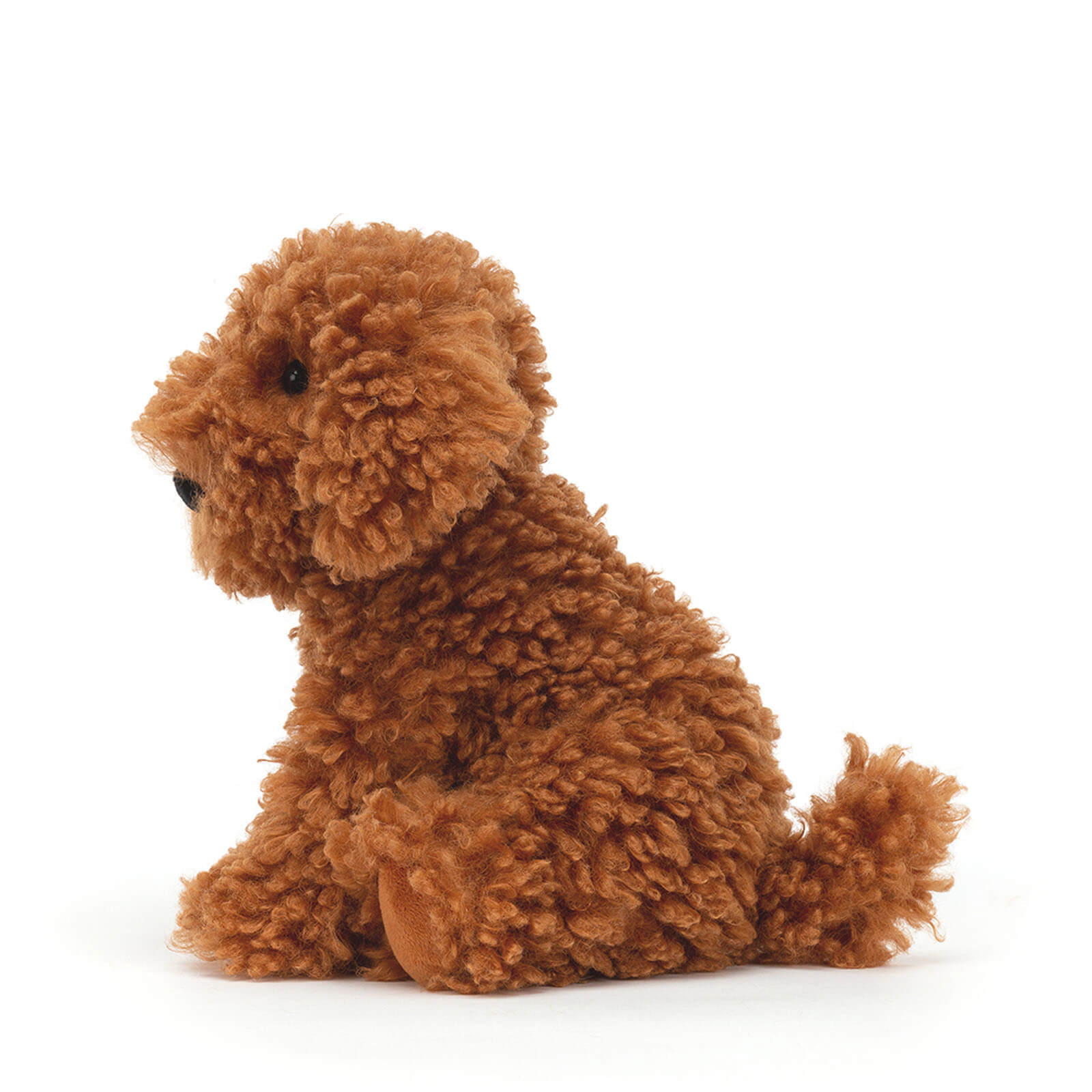 Cooper Doodle Dog
