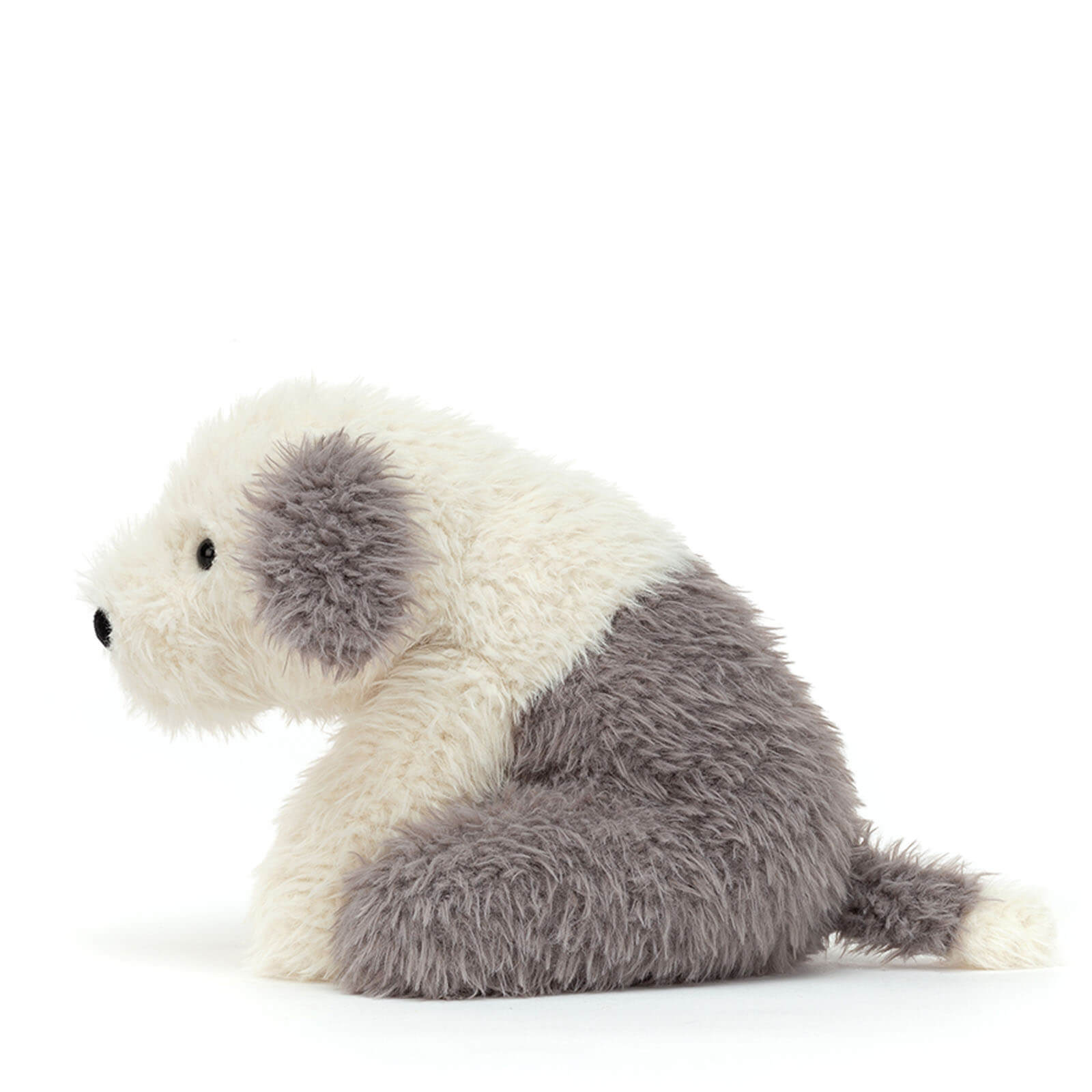 Curvie Sheep Dog
