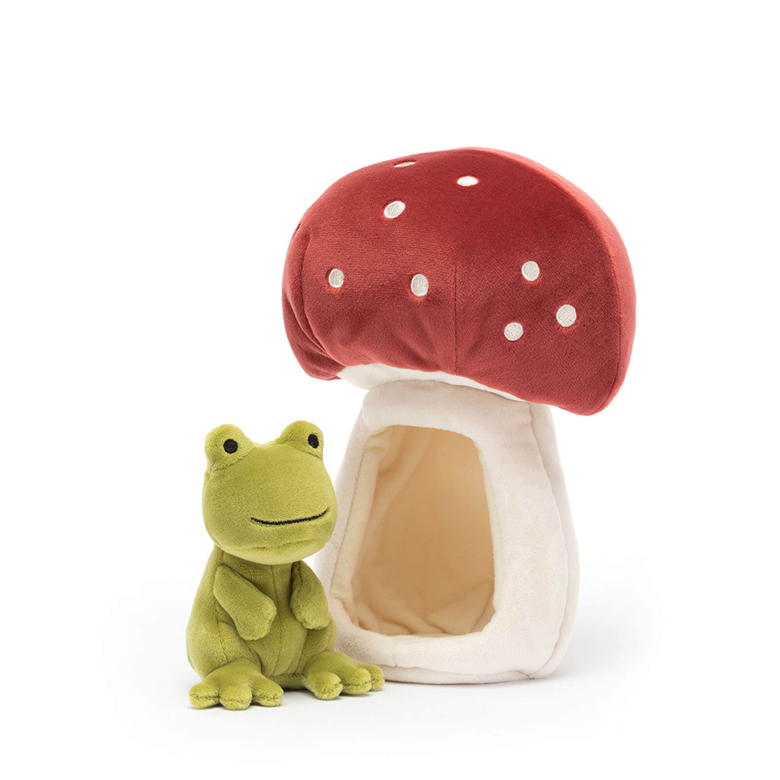 Forest Fauna Frog