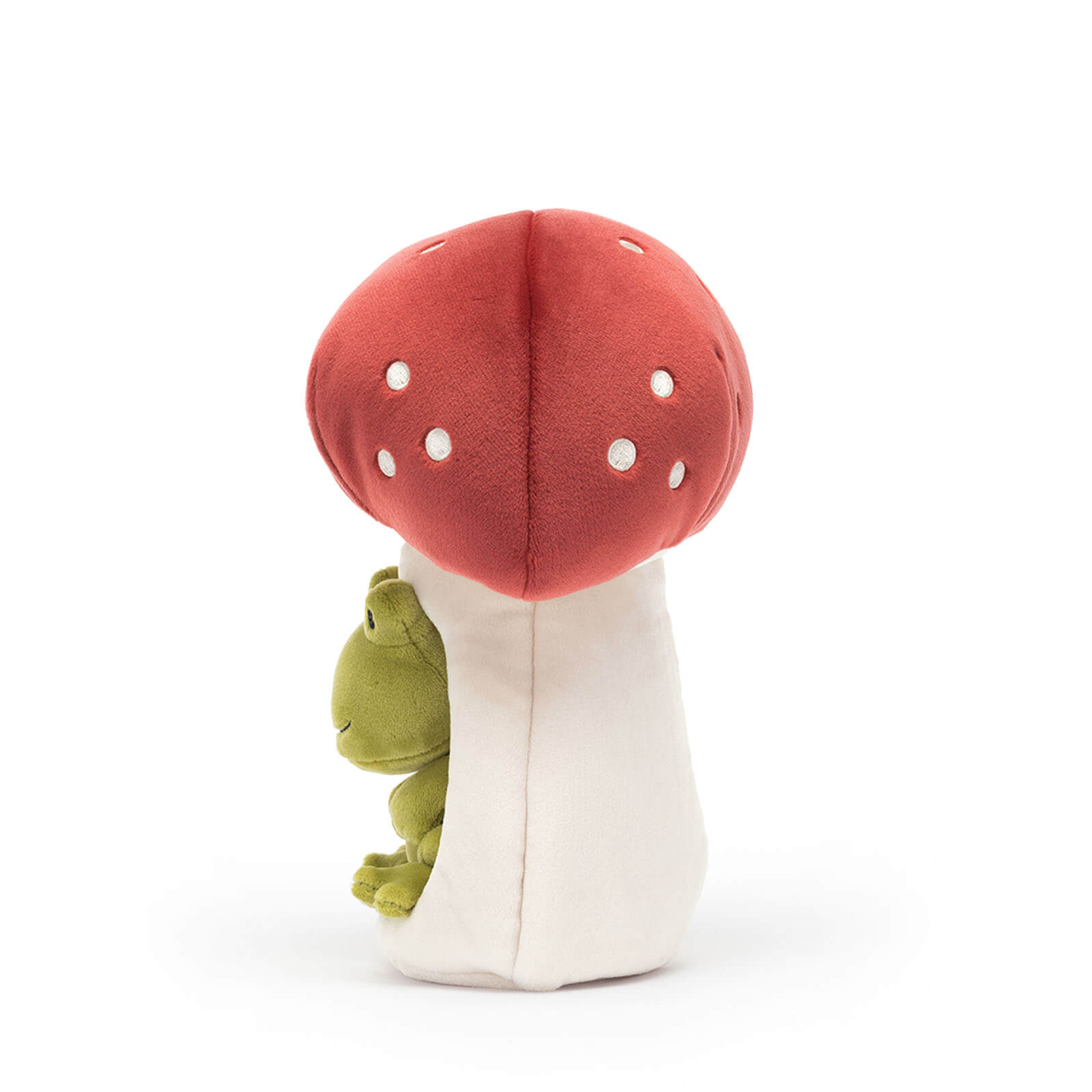 Forest Fauna Frog