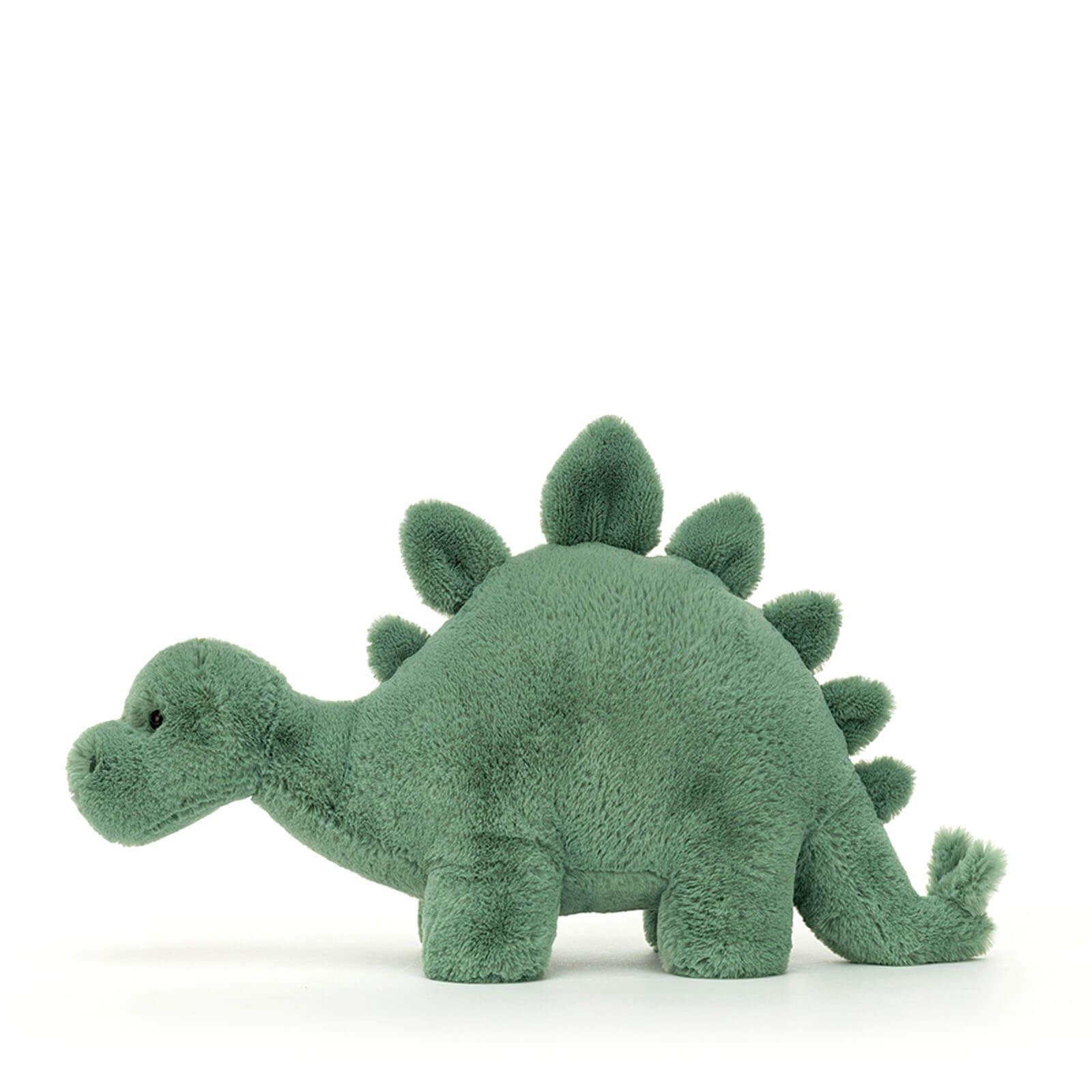 Fossilly Stegosaurus