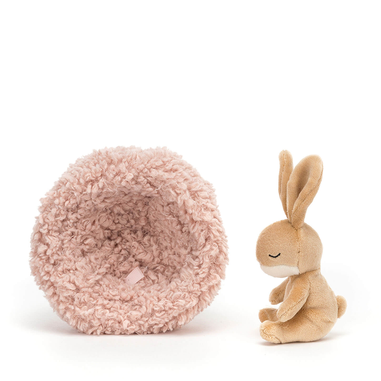Hibernating Bunny