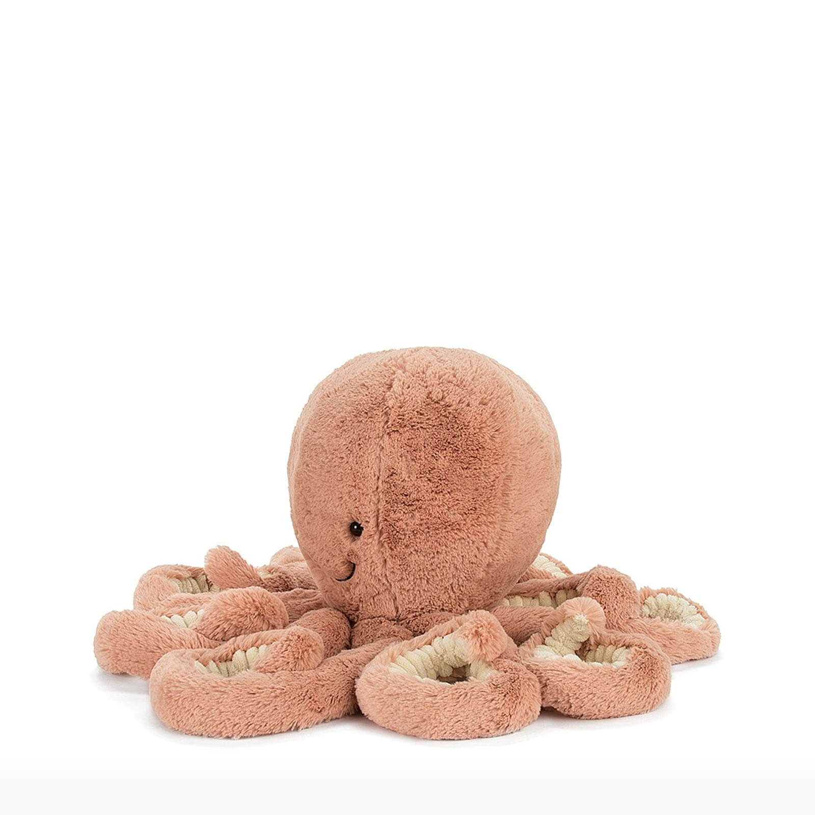 Baby Odell Octopus
