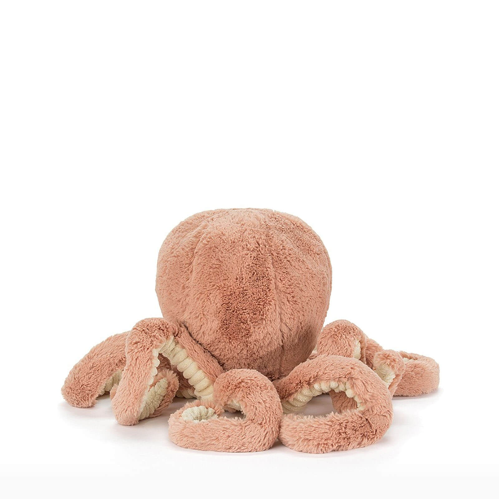 Baby Odell Octopus