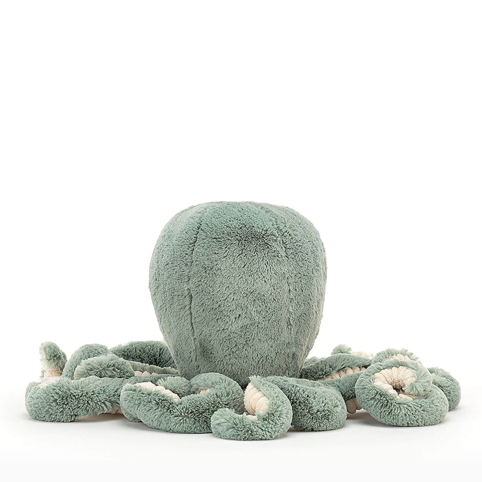 Little Odyssey Octopus