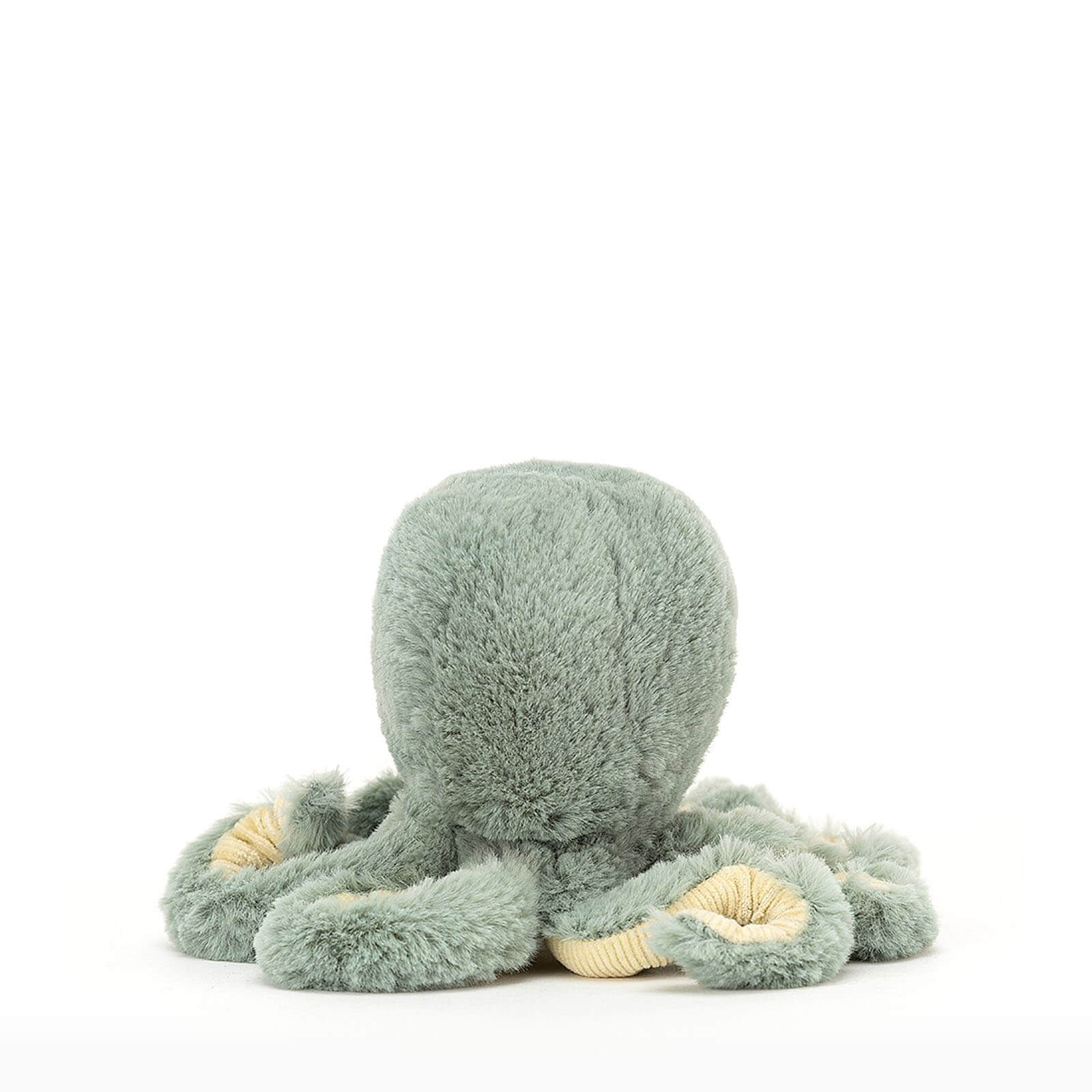 Baby Odyssey Octopus