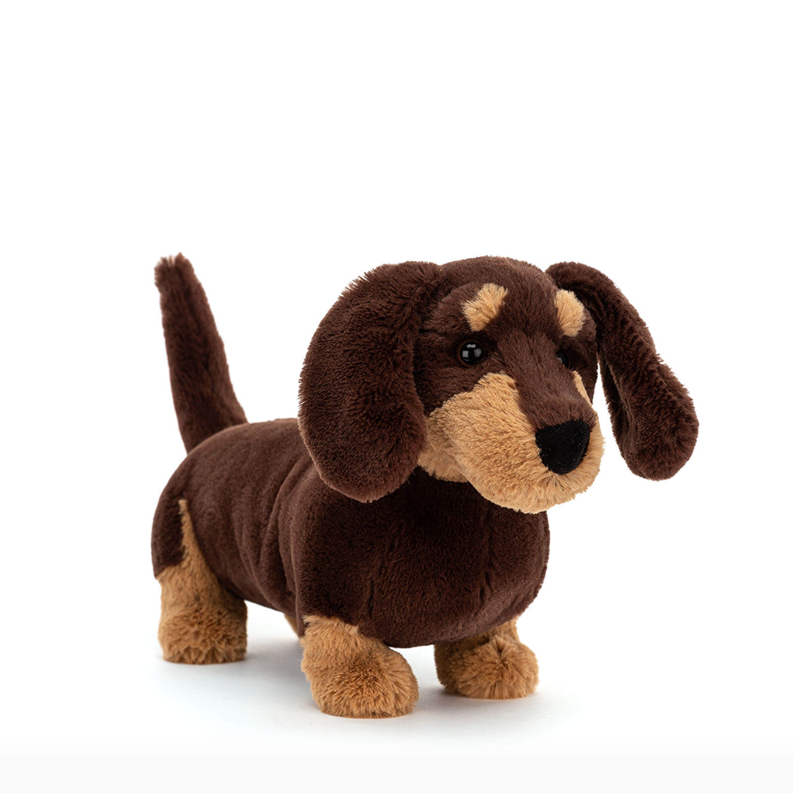 Otto Sausage Dog
