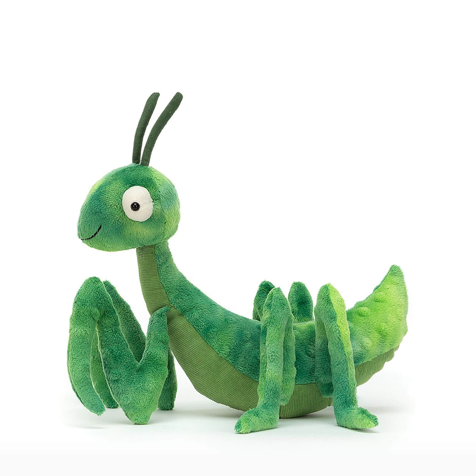 Penny Praying Mantis