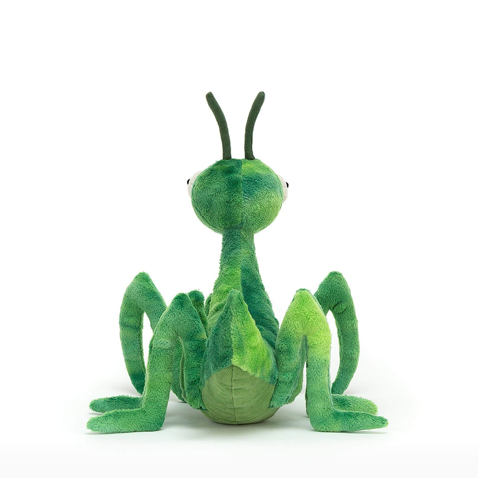Penny Praying Mantis