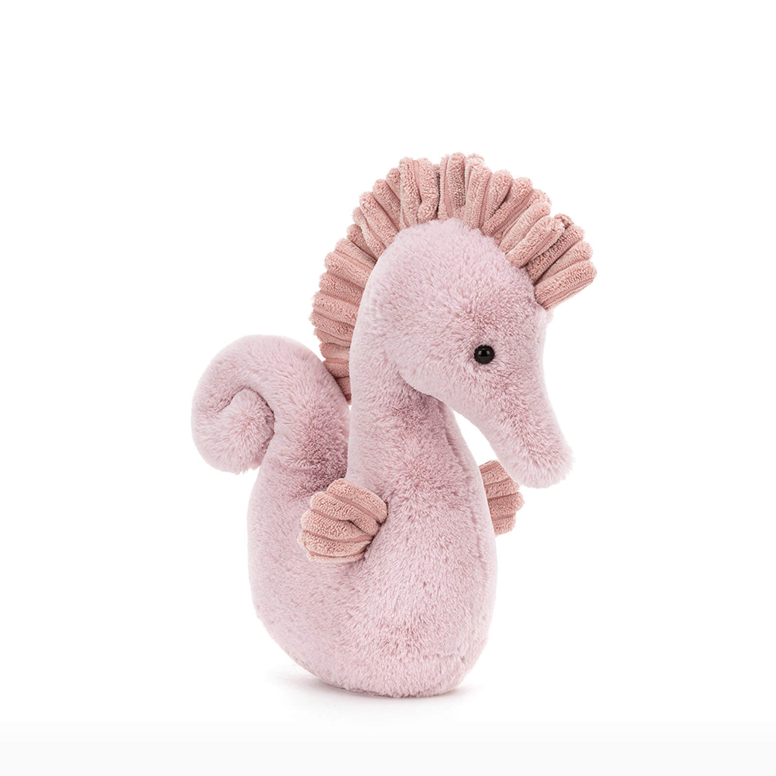 Sienna Seahorse