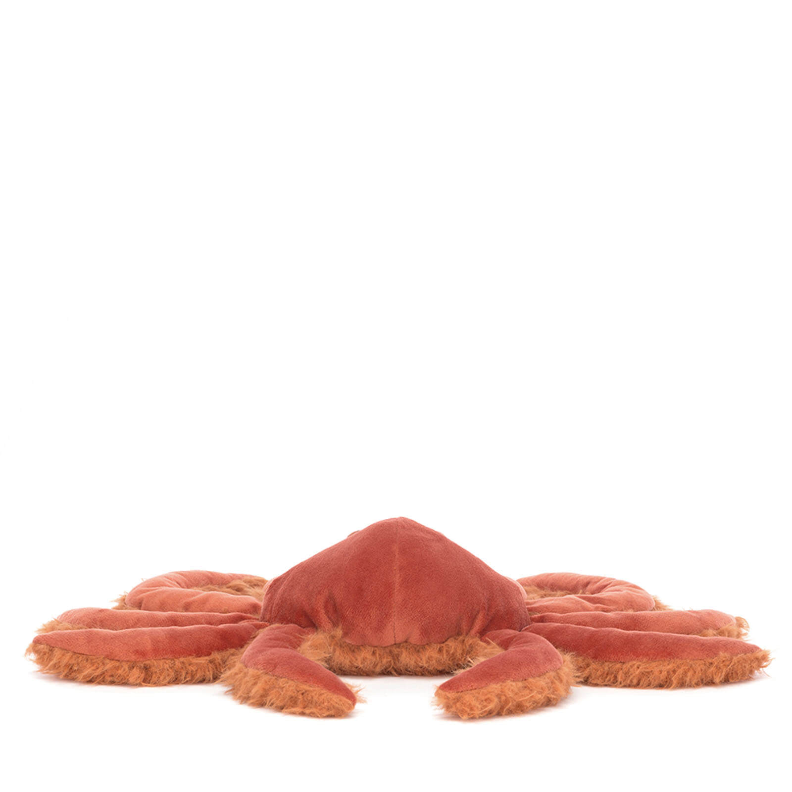 Spindleshanks Crab