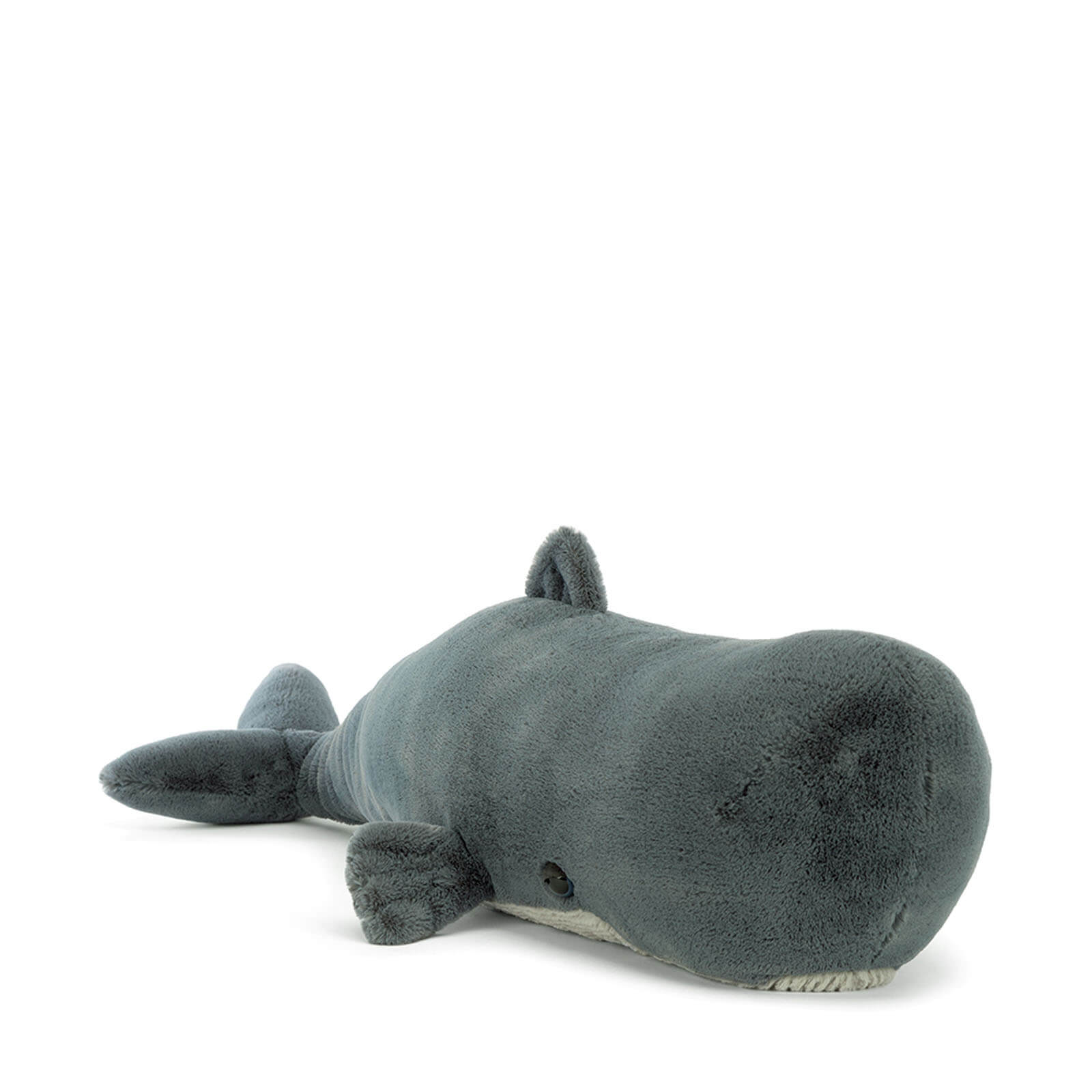 Sullivan the Sperm Whale