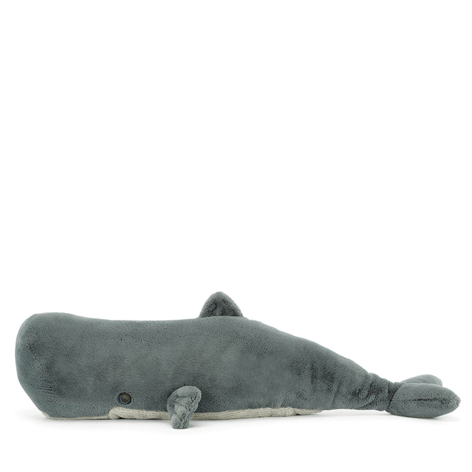 Sullivan the Sperm Whale