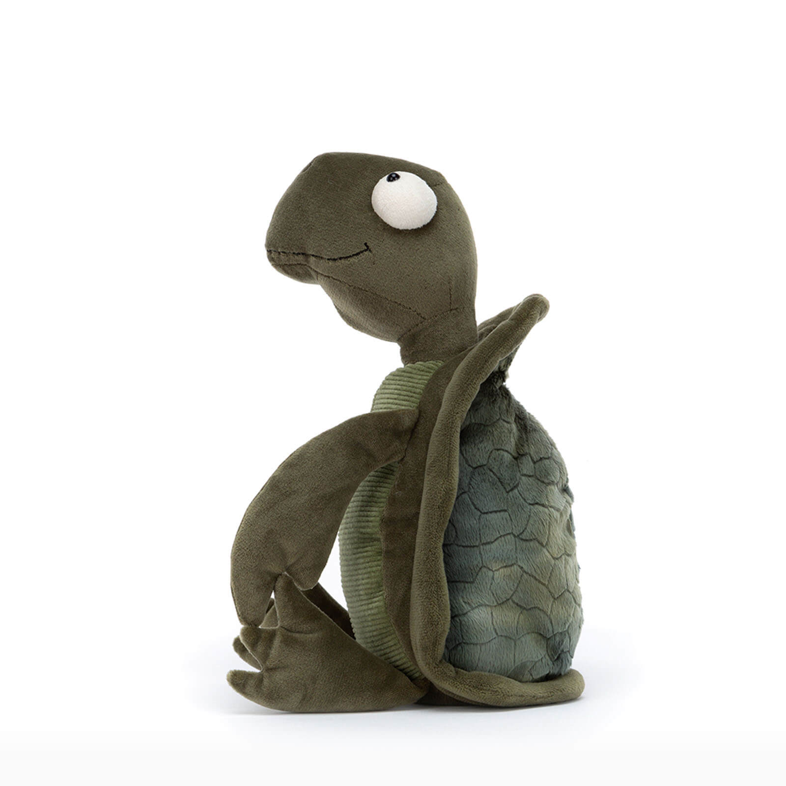 Tommy Turtle