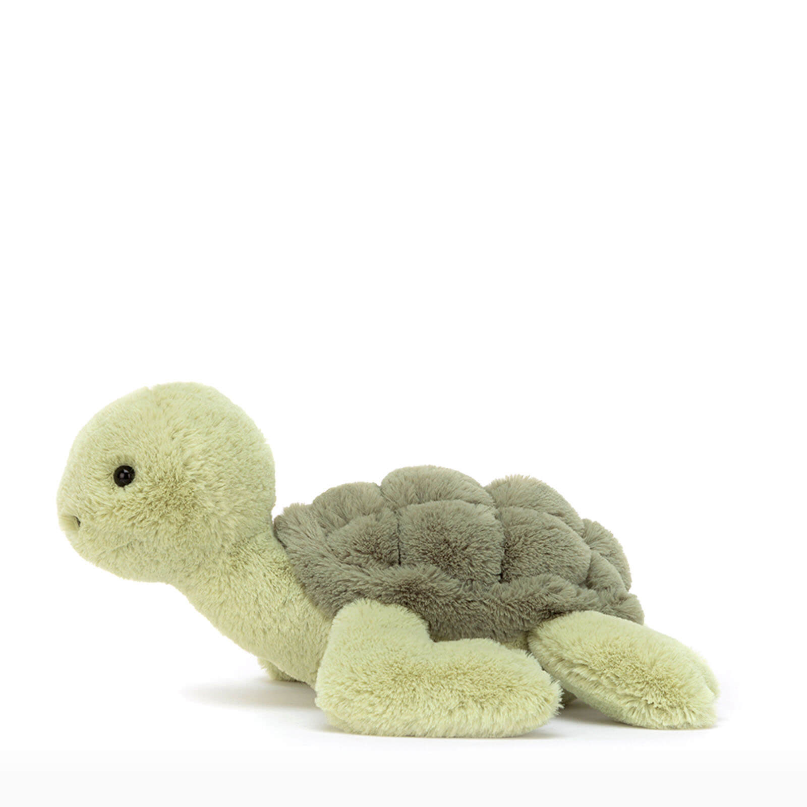 Tully Turtle