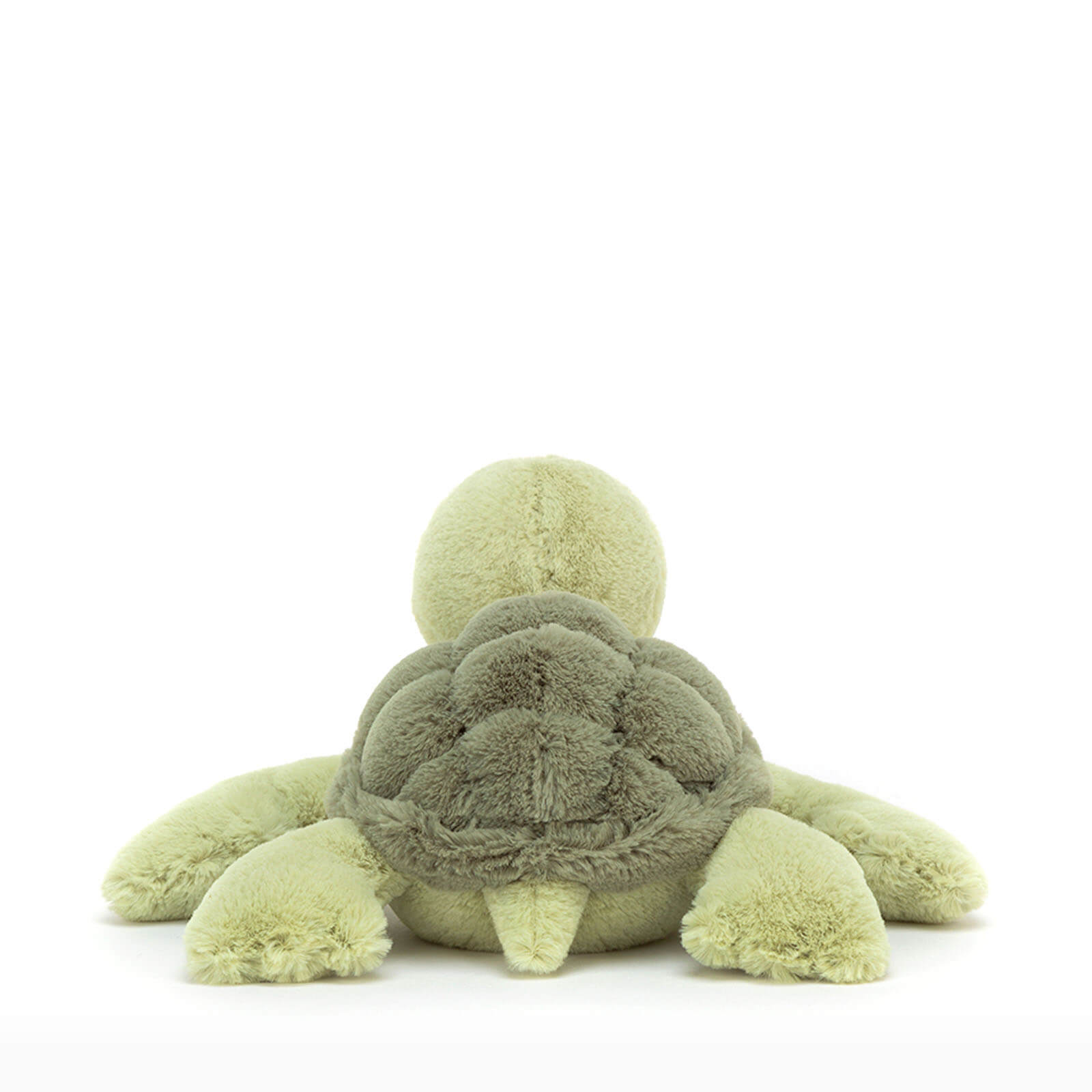 Tully Turtle