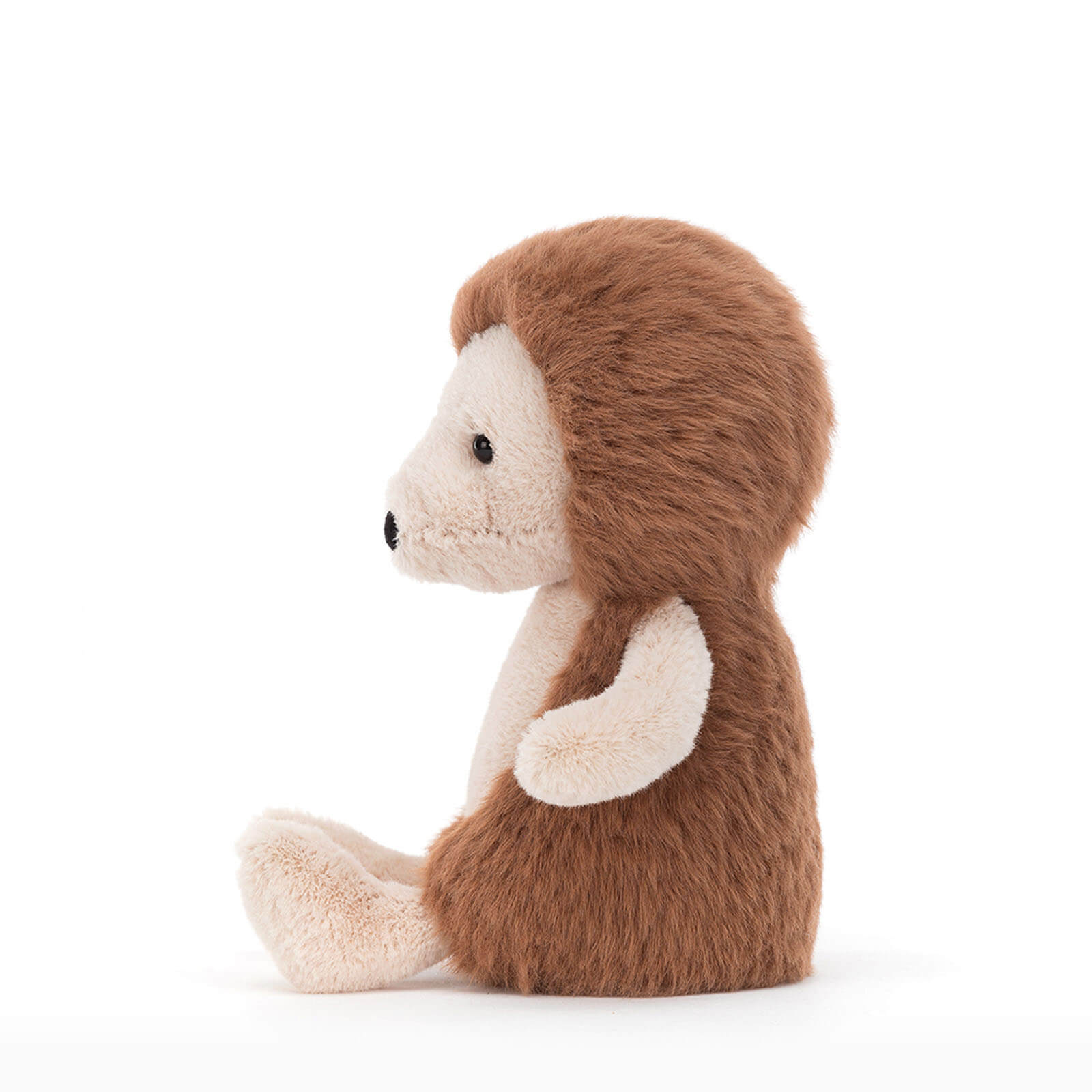 Willow Hedgehog