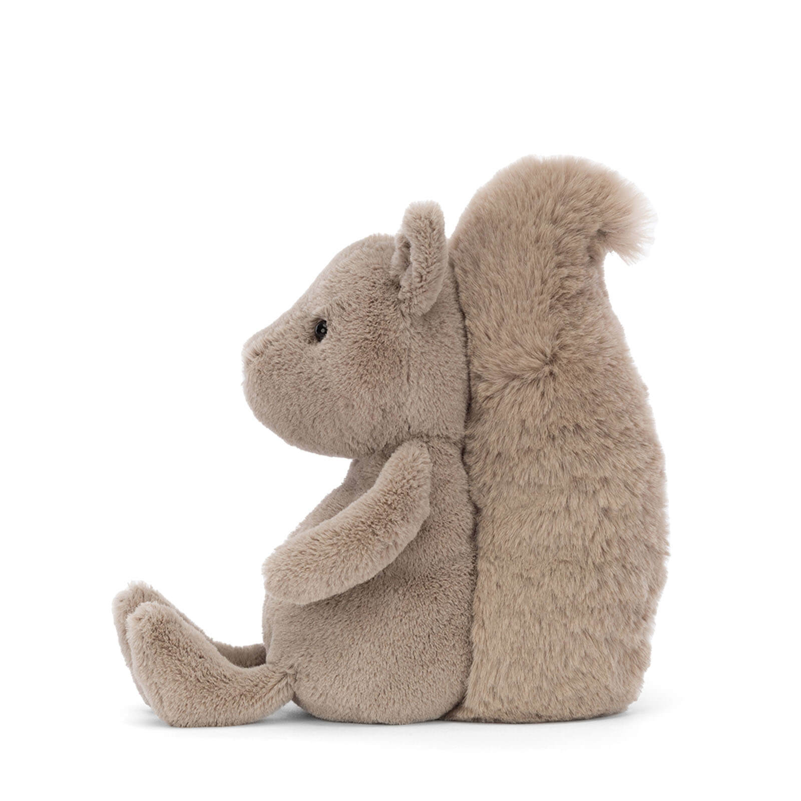 Willow Squirrel