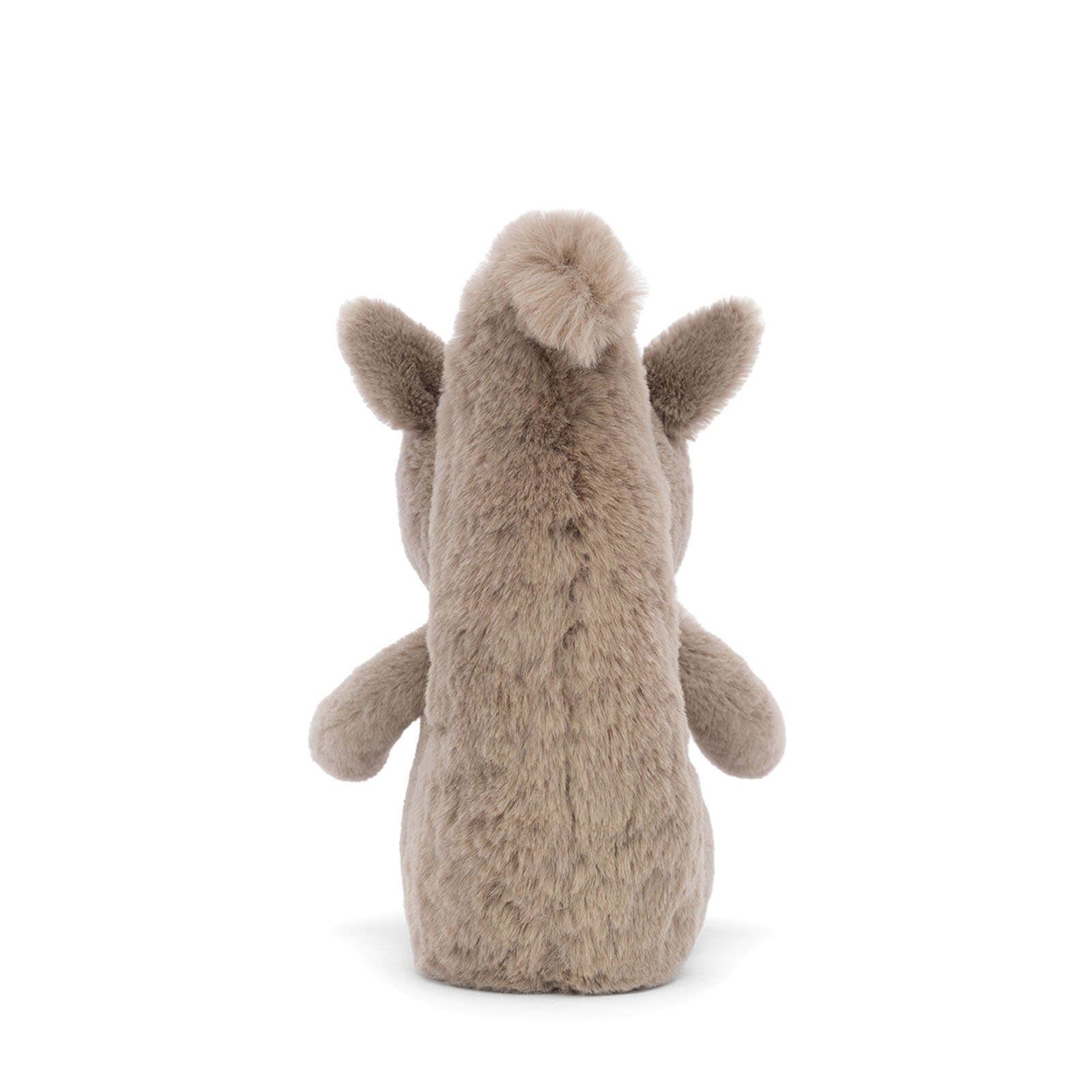 Willow Squirrel