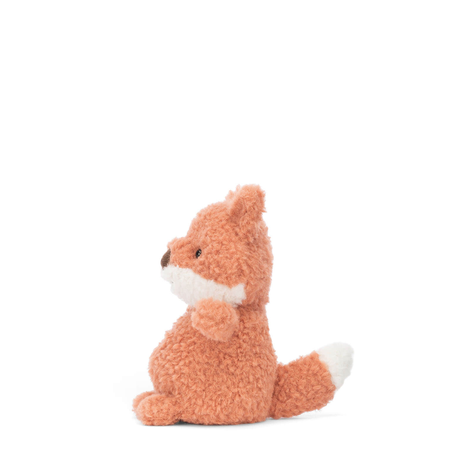 Wee Fox